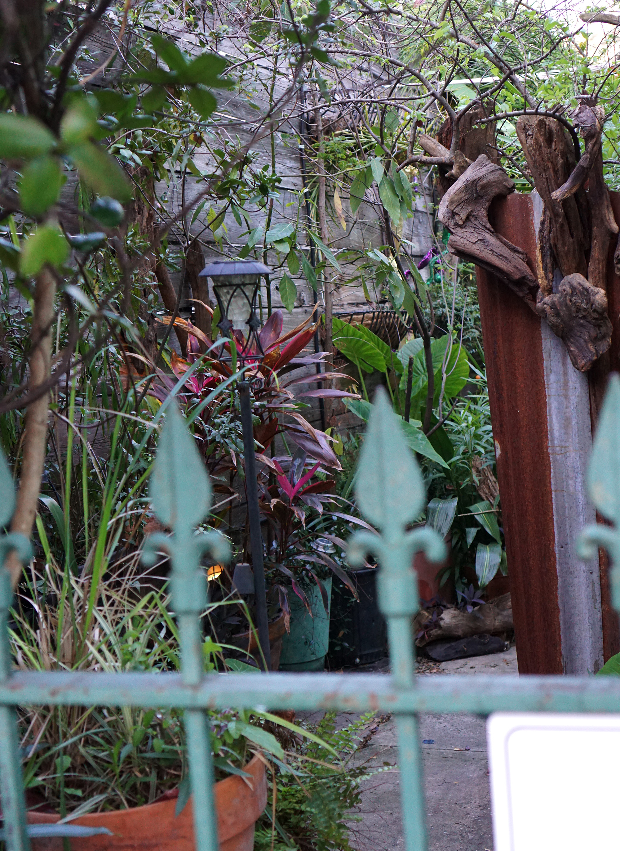 Backyard container garden in the Marigny, New Orleans / Darker than Green