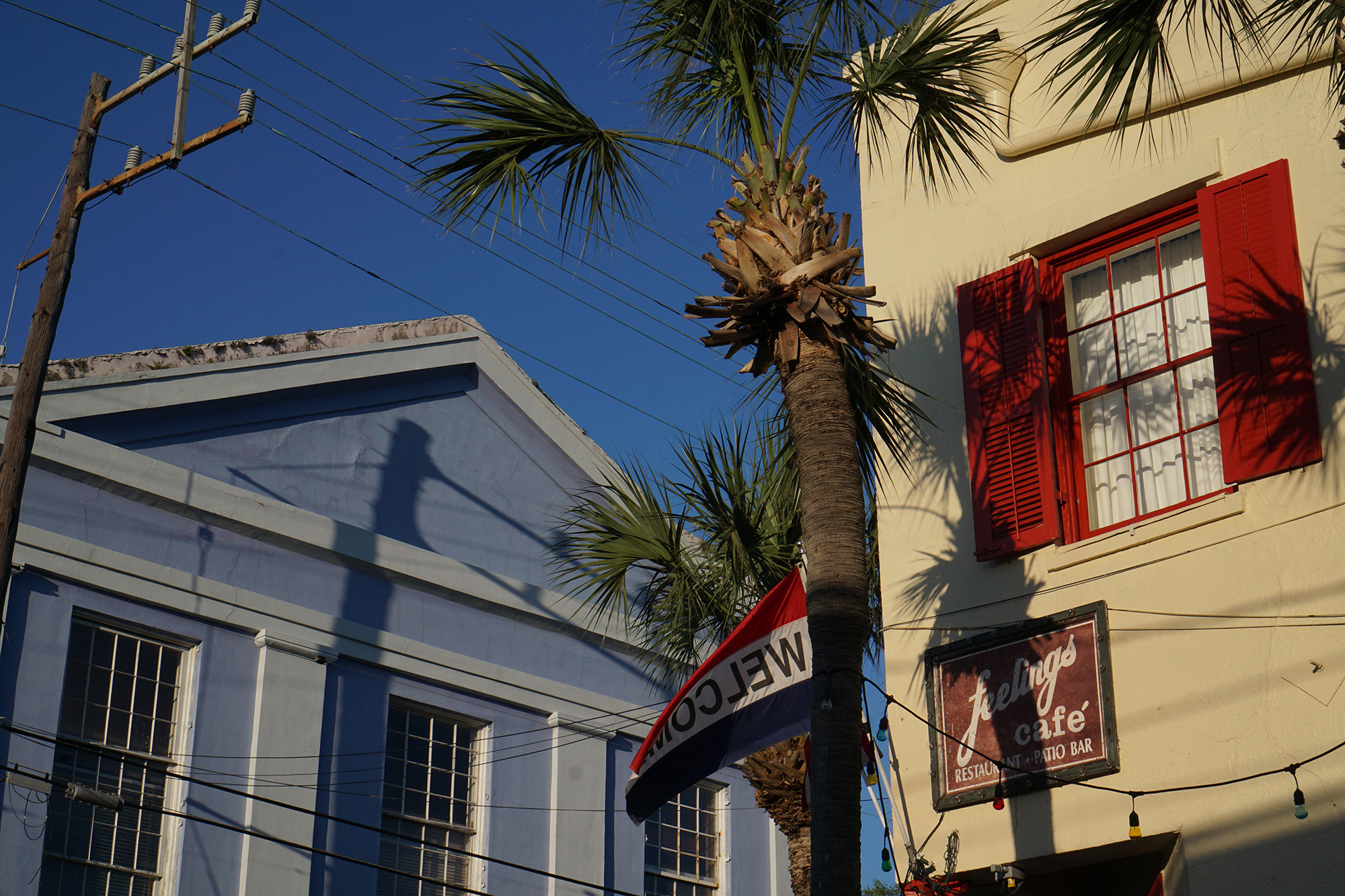 Feelings Cafe, the Marigny, New Orleans / Darker than Green