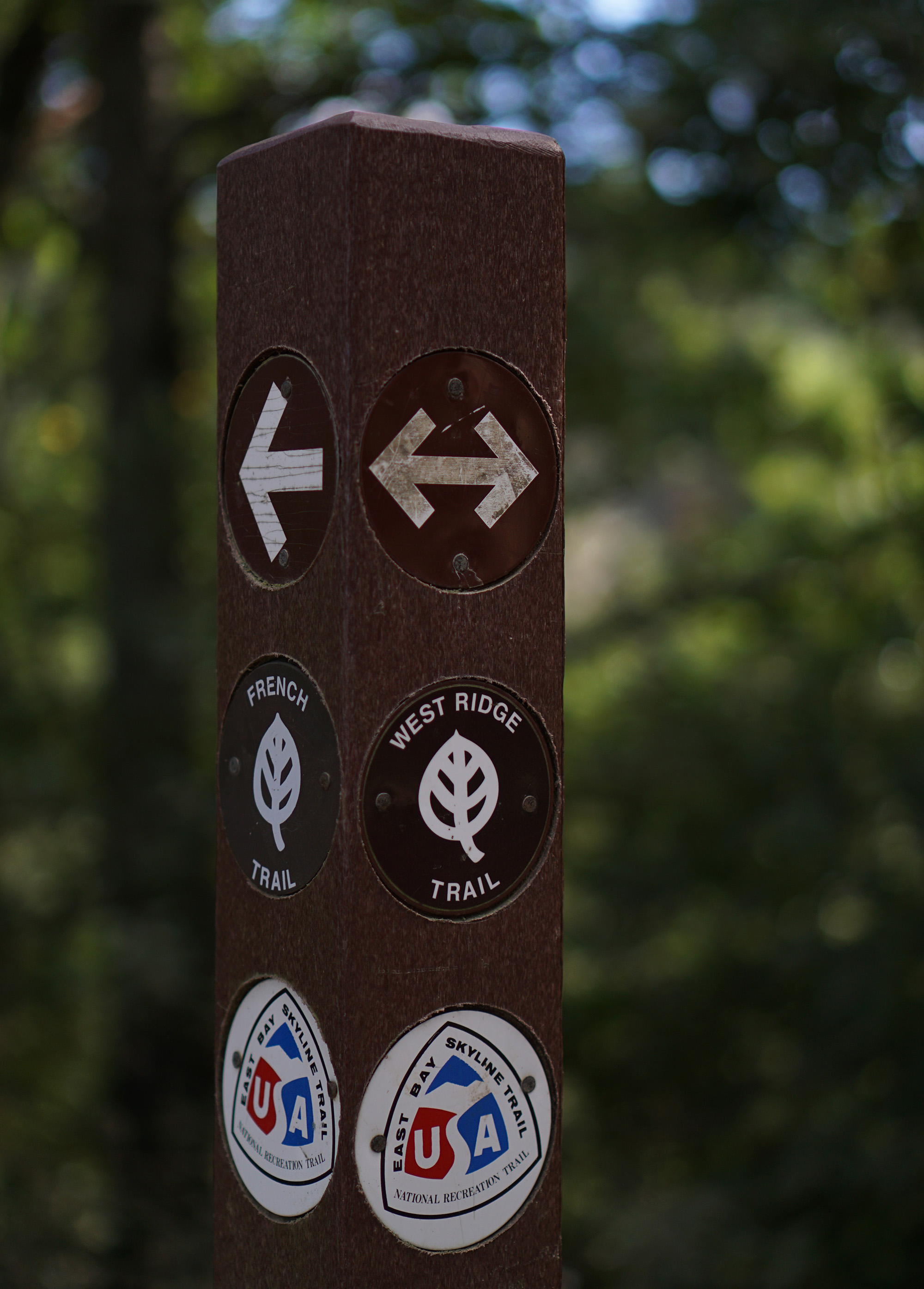 Post along the West Ridge Trail in Redwood Regional Park, Oakland California / Darker than Green