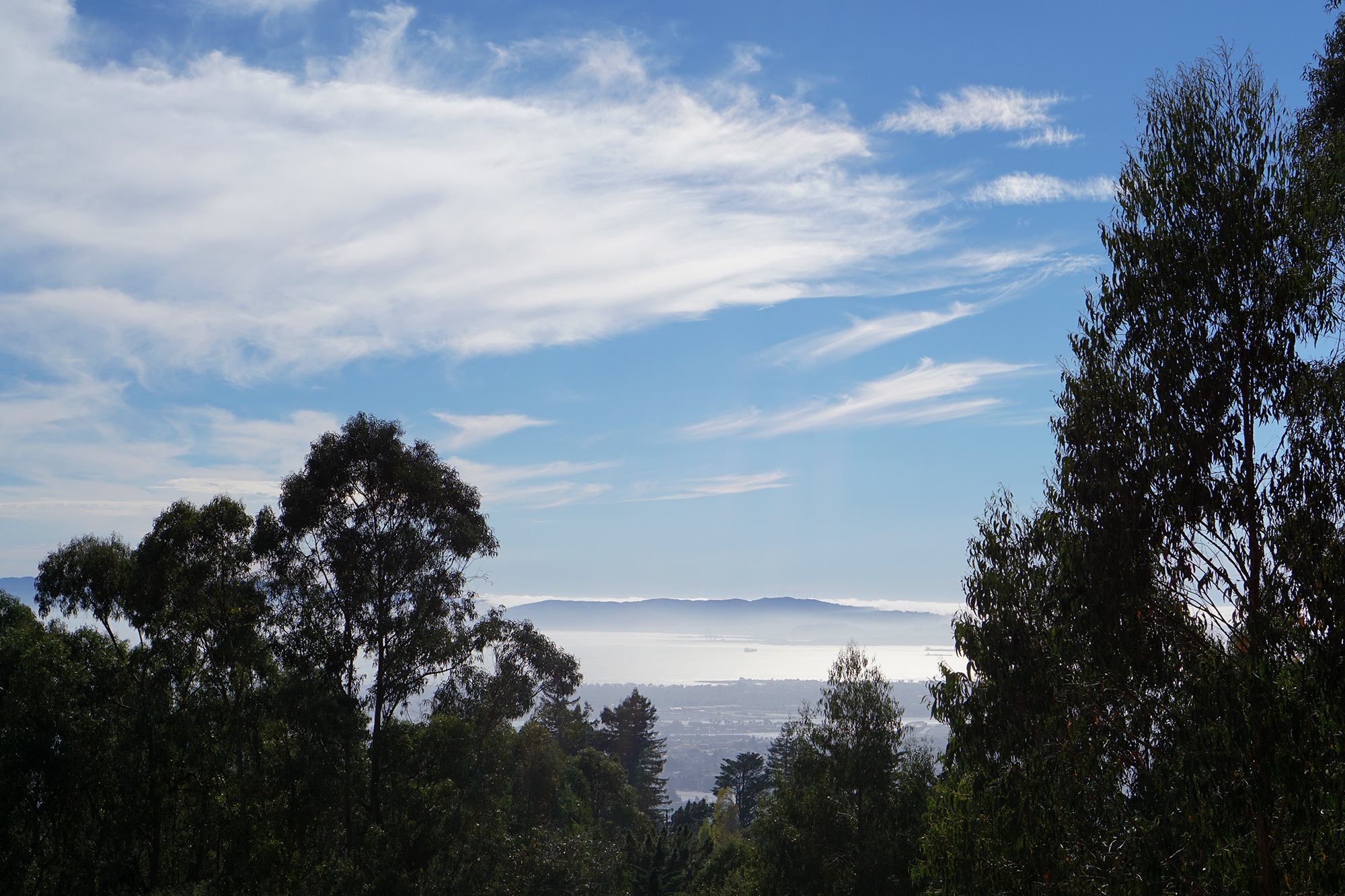 View from the Moon Gate, Skyline Blvd, Oakland California / Darker than Green