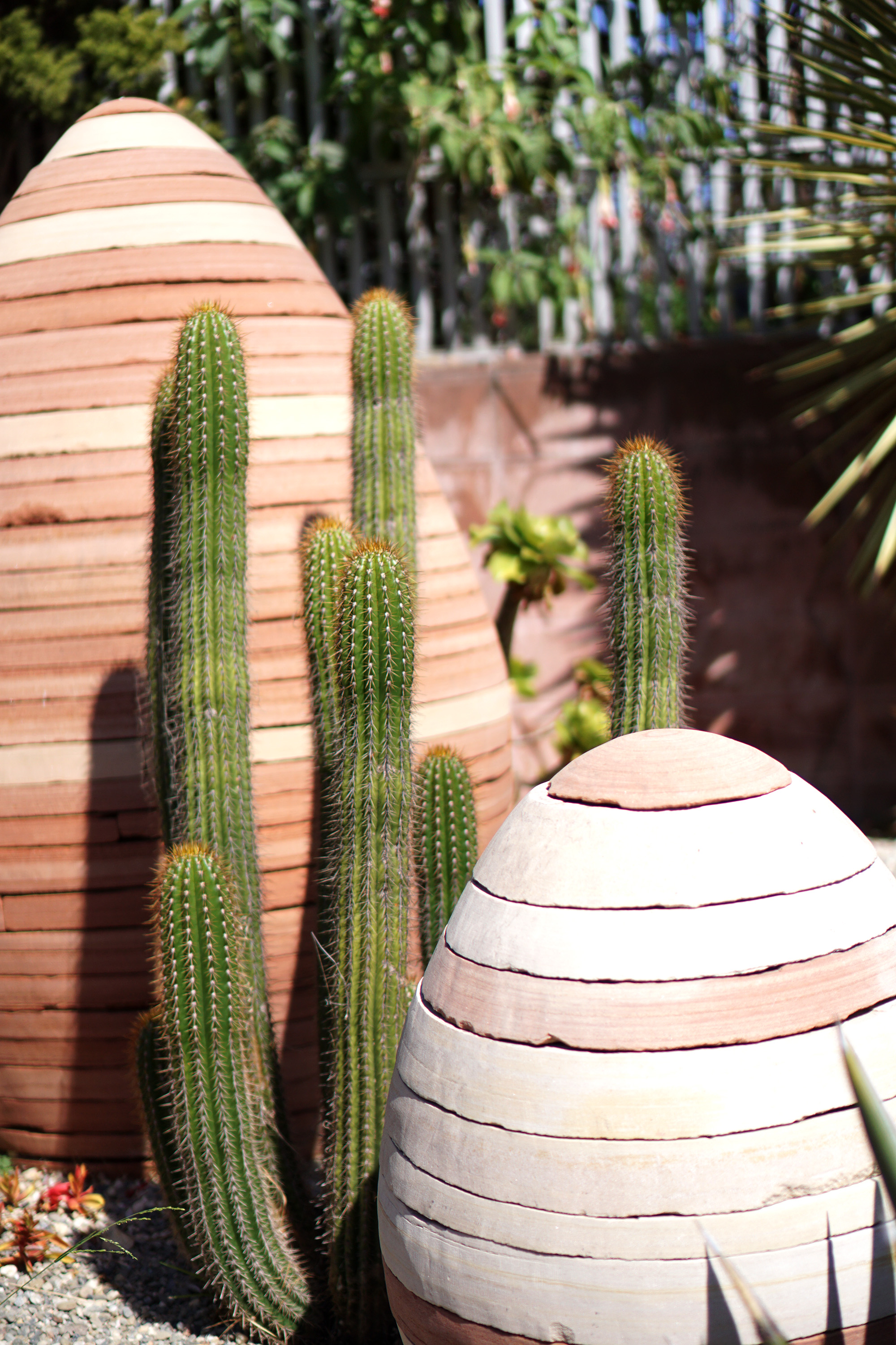 Cacti at the Gardens at Lake Merritt, Oakland California / Darker than Green