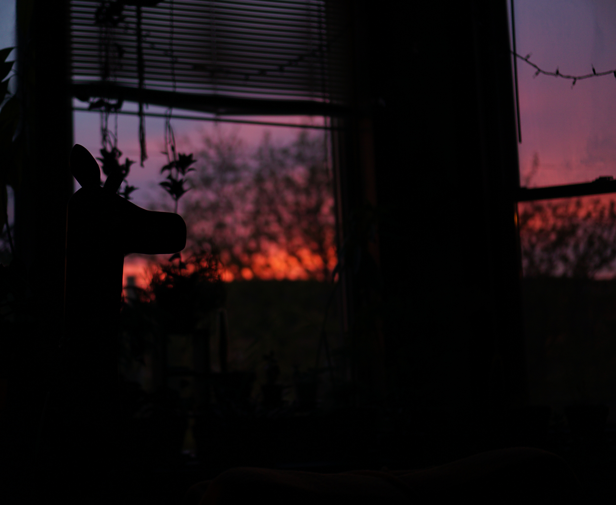 Hot pink sunset on an early May evening, Chicago IL / Darker than Green