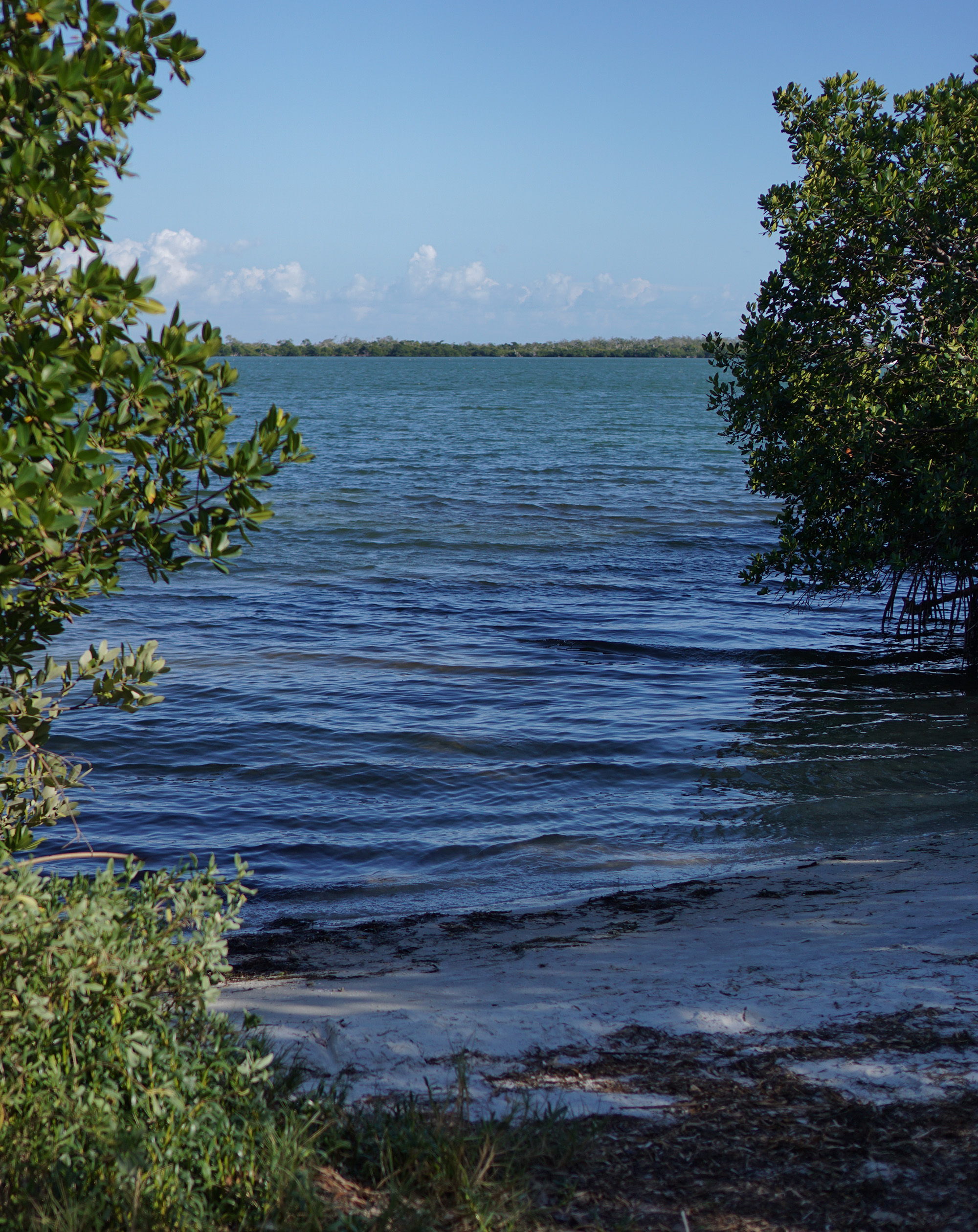 The view toward Pelican Bay from Cayo Costa, Florida / Darker than Green