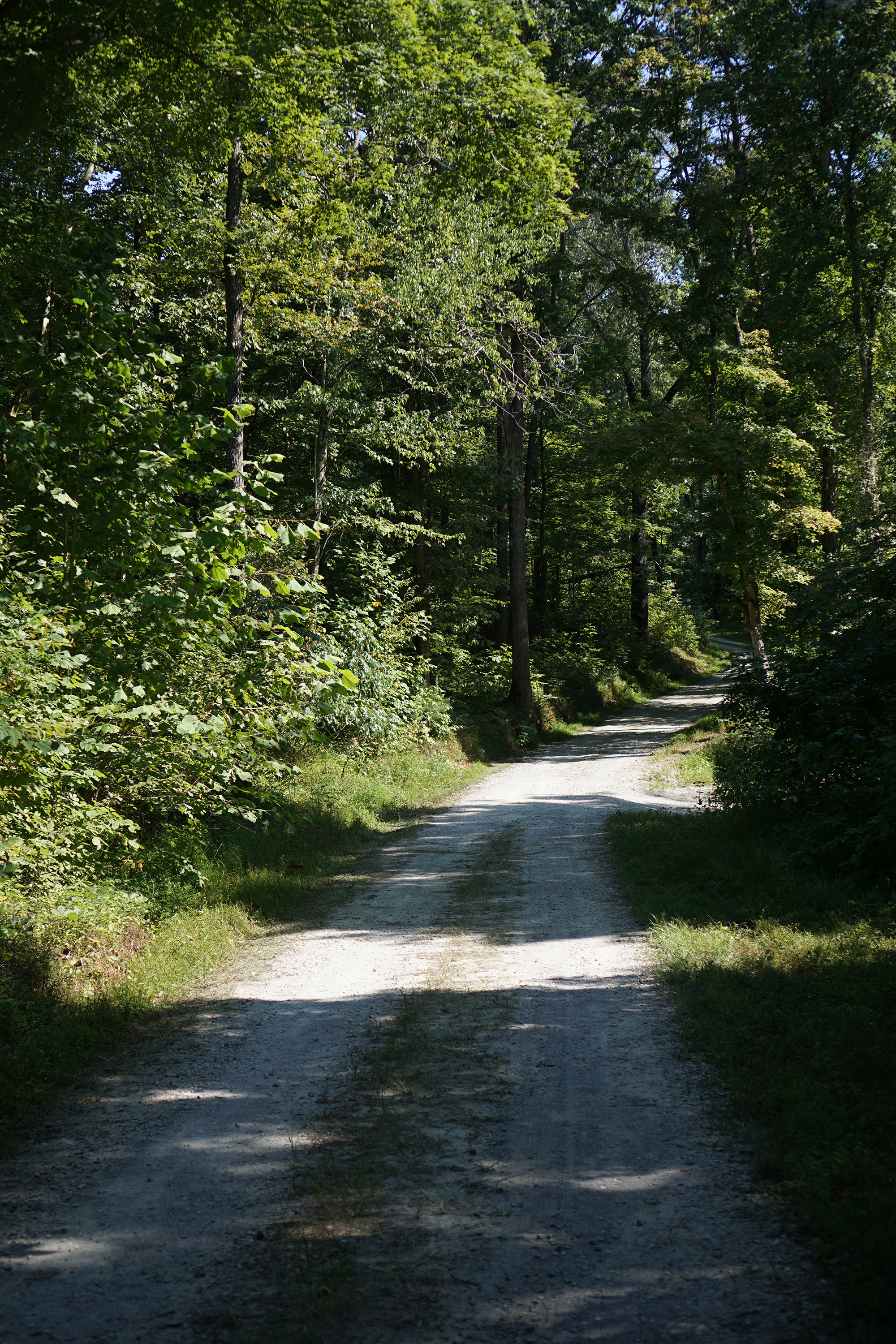 Gravel road near Jones-Keeney Wildlife Management Area, Princeton KY / Darker than Green