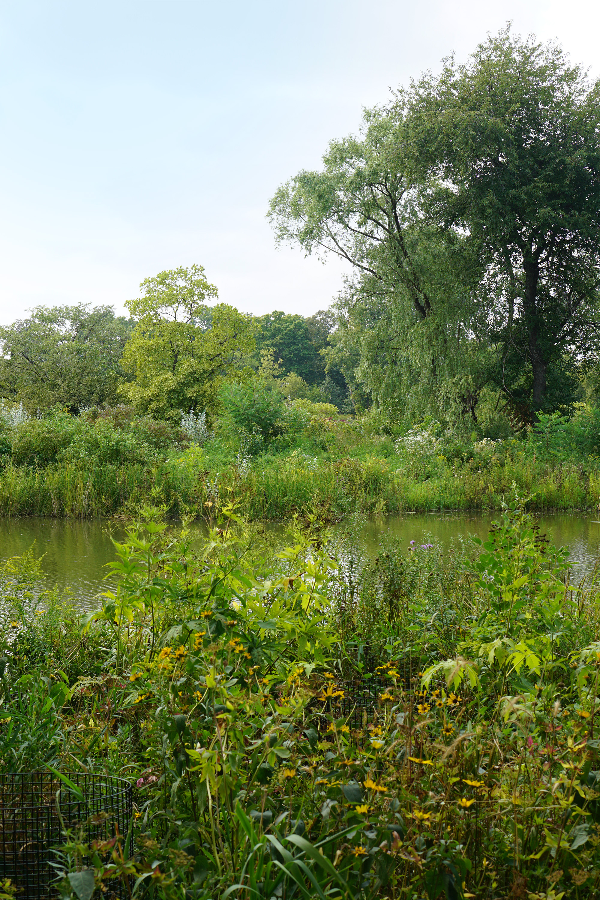 View toward Wooded Island, Jackson Park, Chicago / Darker than Green