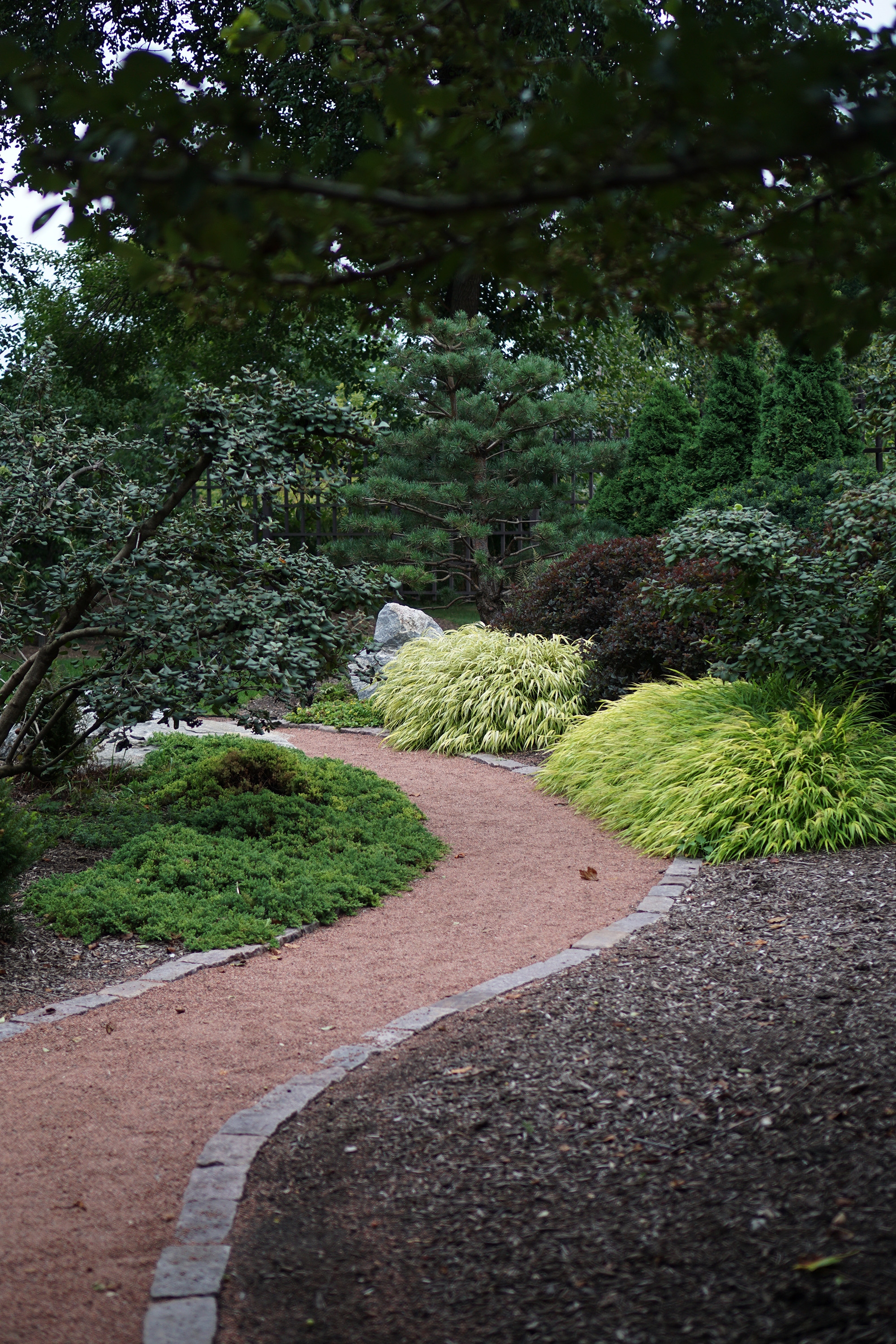 Meandering path in the Garden of the Phoenix, Jackson Park / Darker than Green