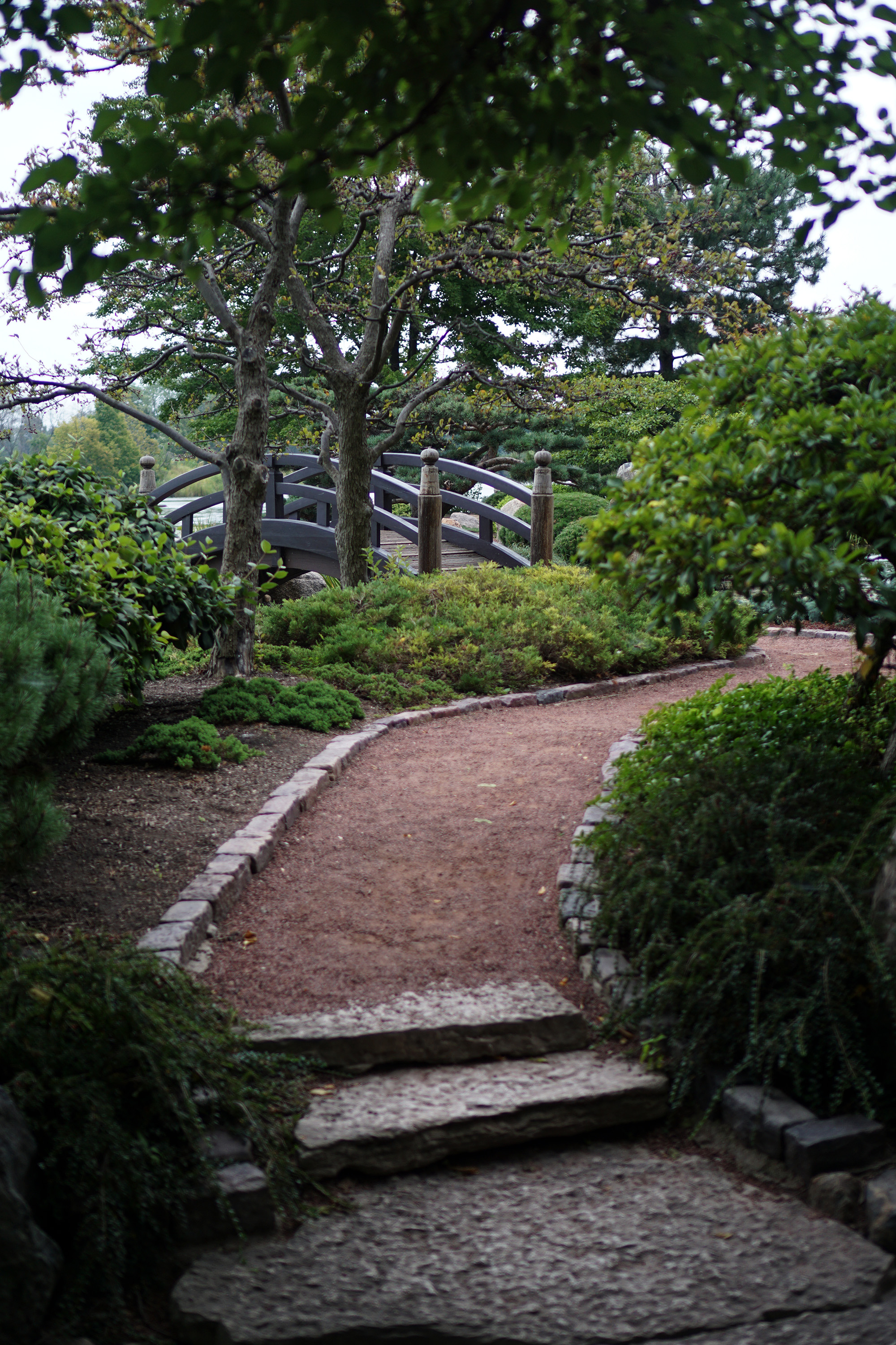 Meandering paths in the Garden of the Phoenix, Jackson Park / Darker than Green