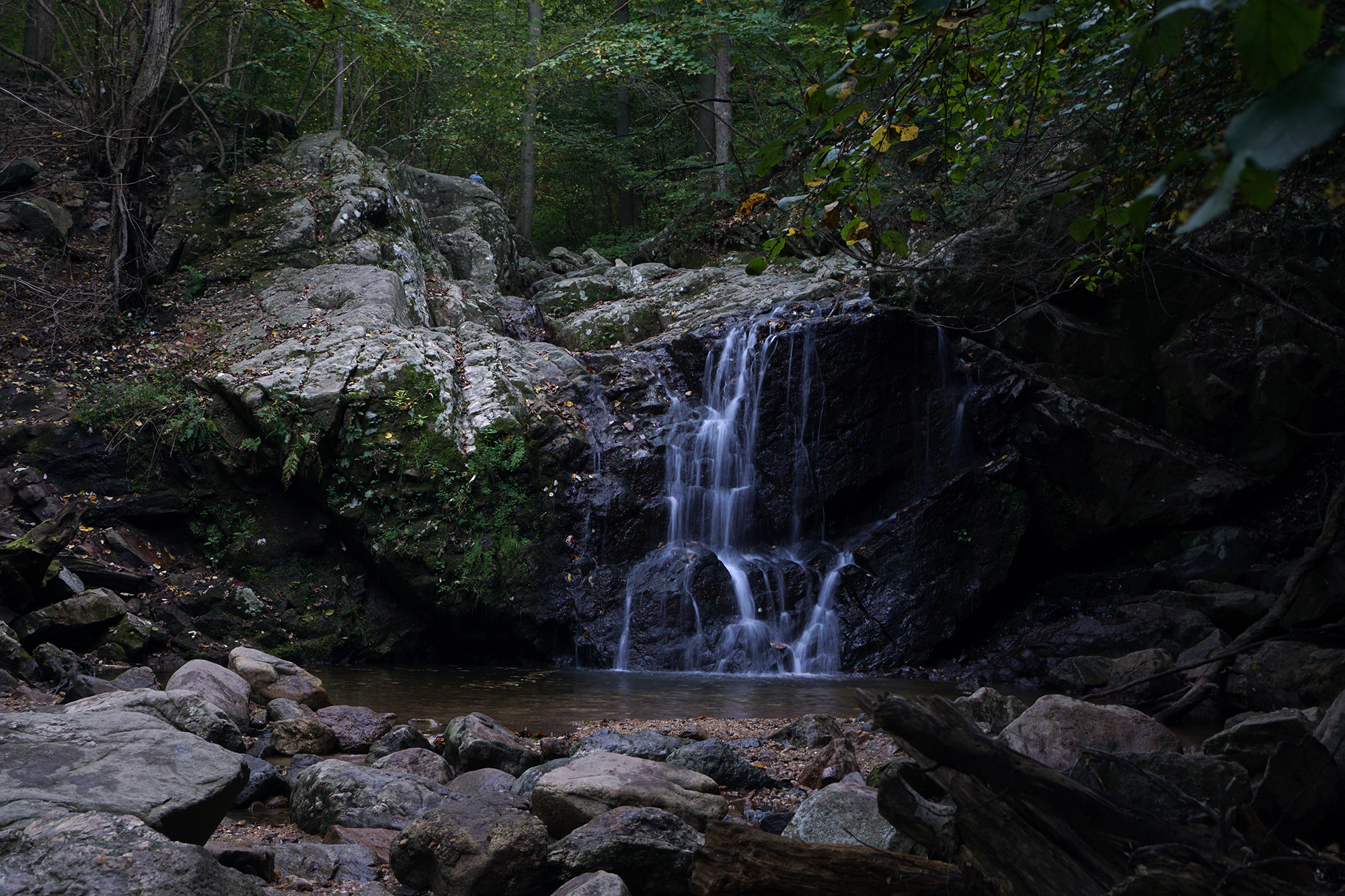 Cascade Falls, Patapsco Valley State Park, Maryland / Darker than Green