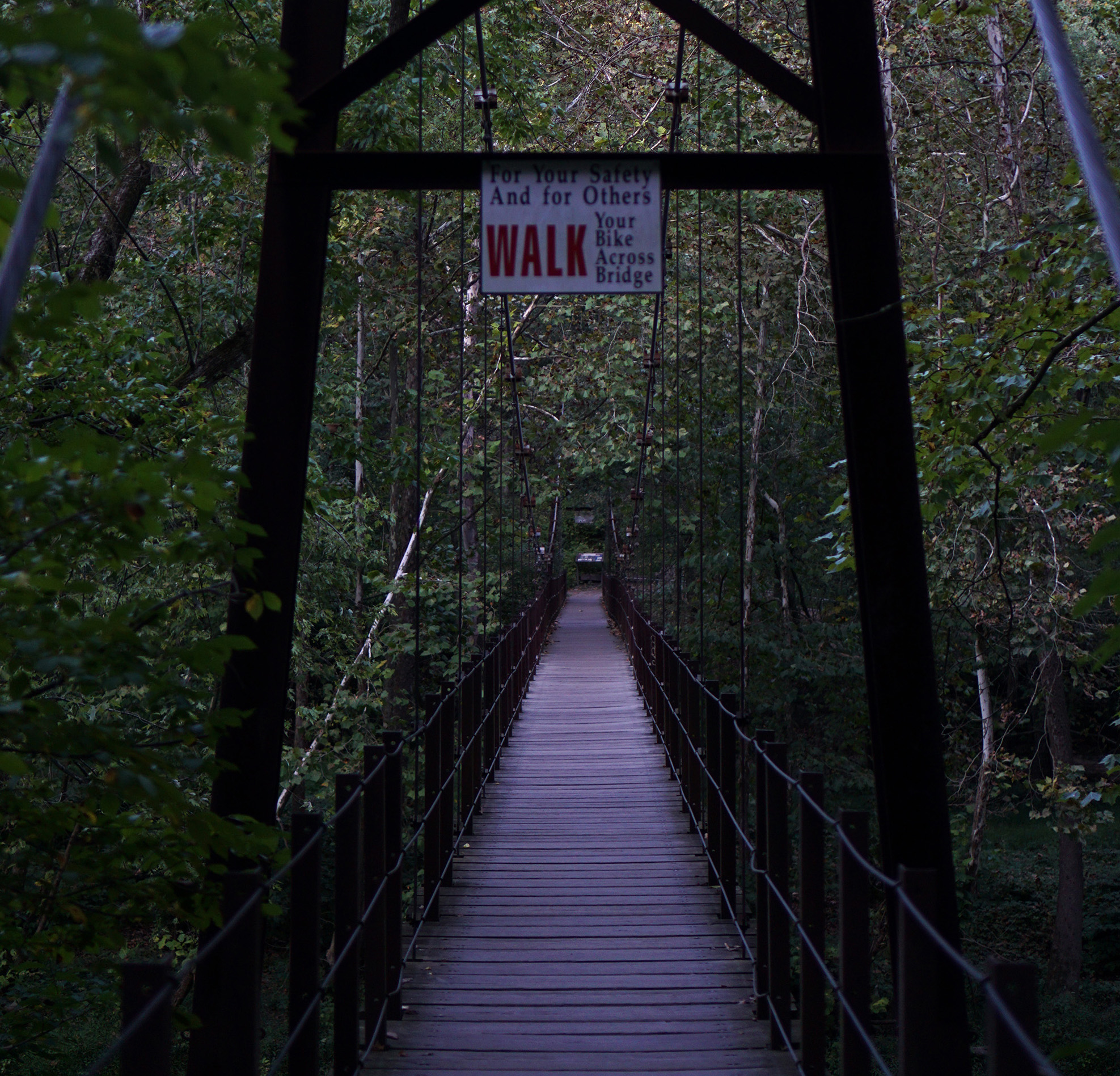 Swinging bridge, Patapsco Valley State Park, Maryland / Darker than Green