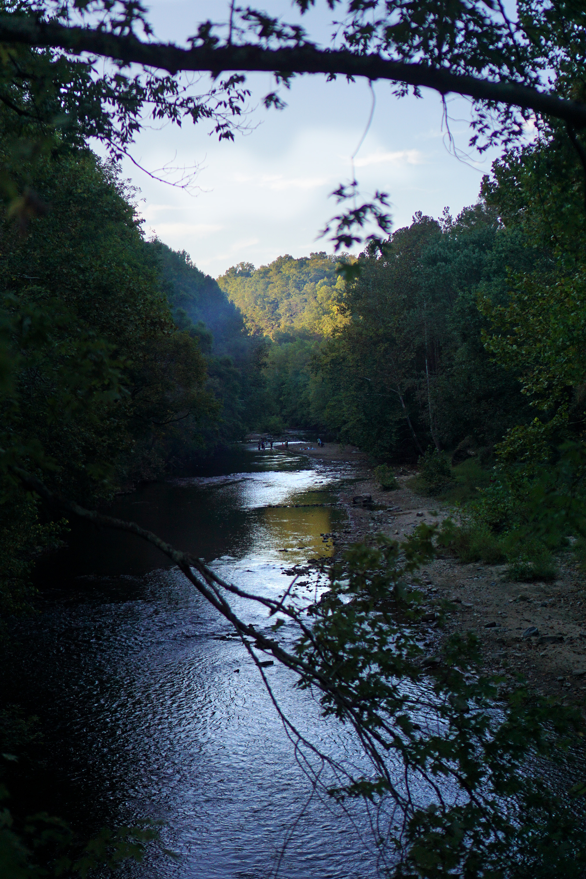 View from the swinging bridge, Patapsco Valley State Park, Maryland / Darker than Green