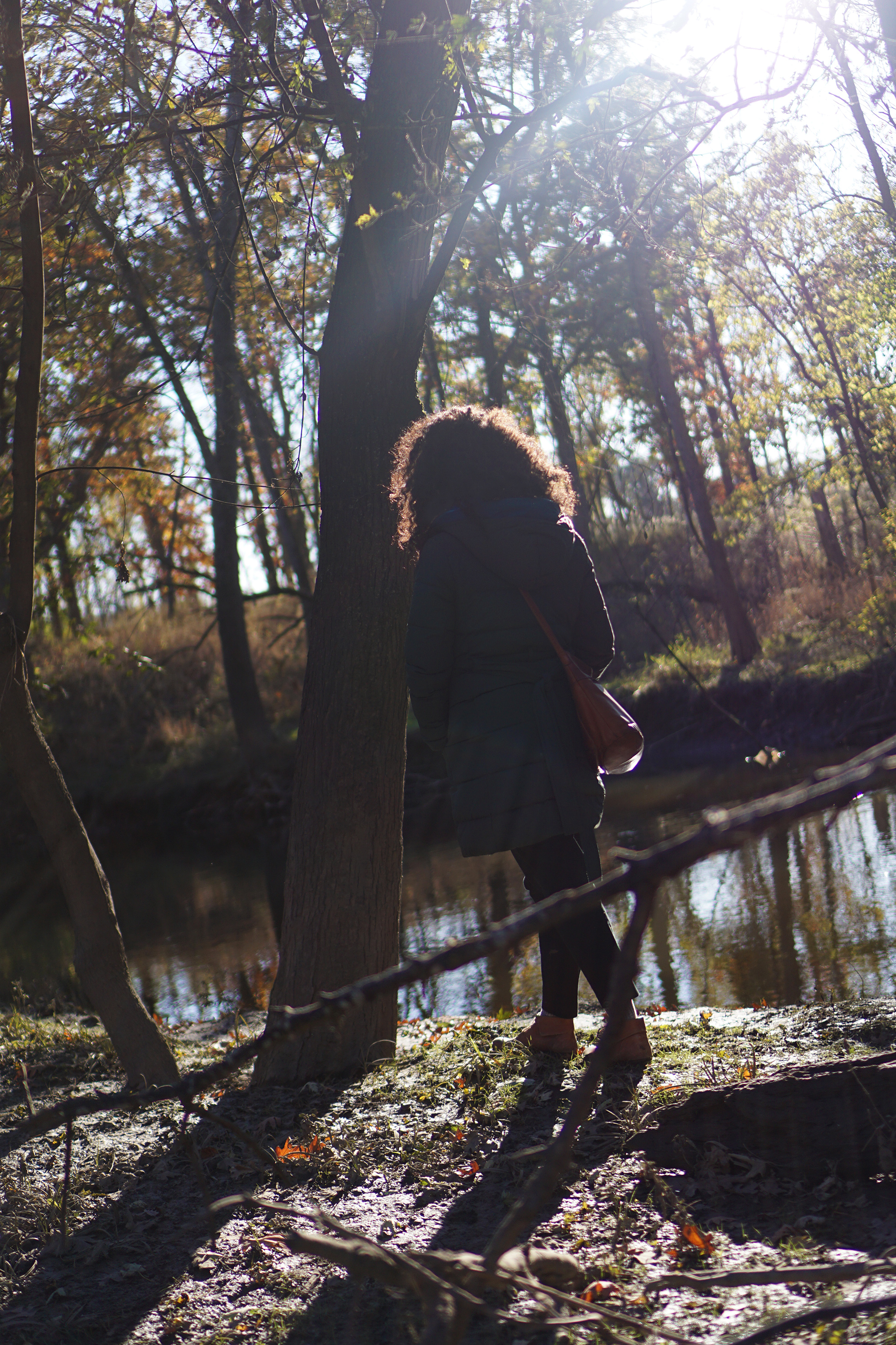 Along the bank of the Chicago River, Miami Woods, Morton Grove Illinois / Darker than Green