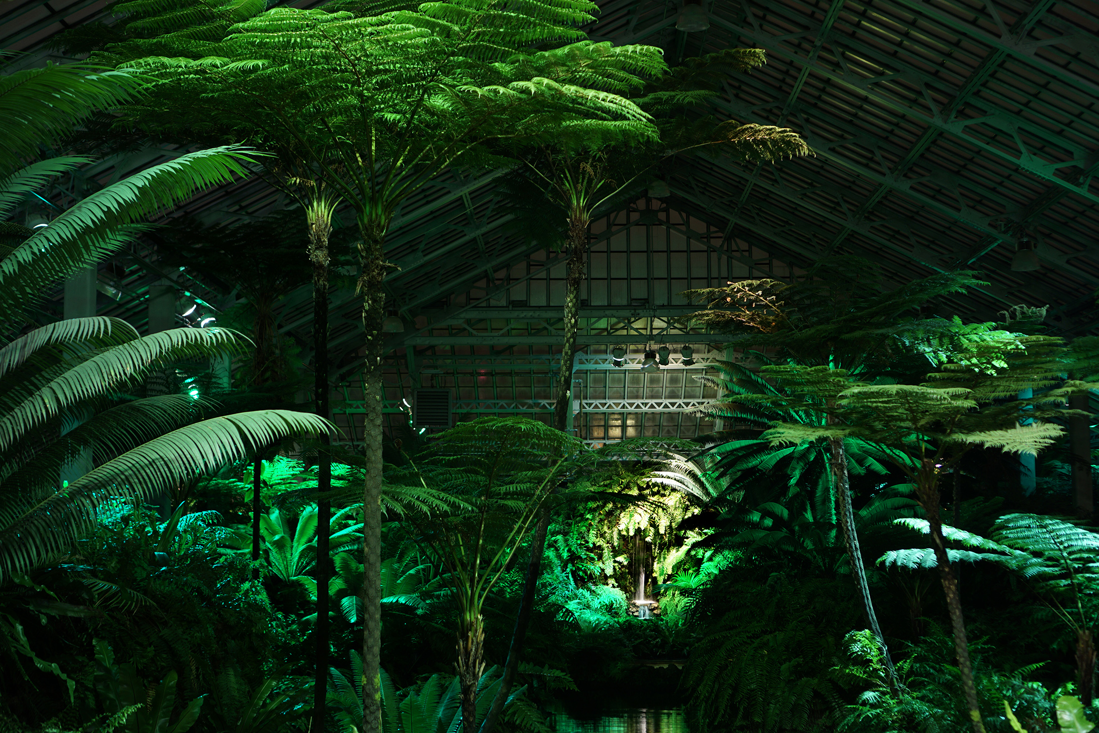 Garfield Park Conservatory at night, Chicago / Darker than Green