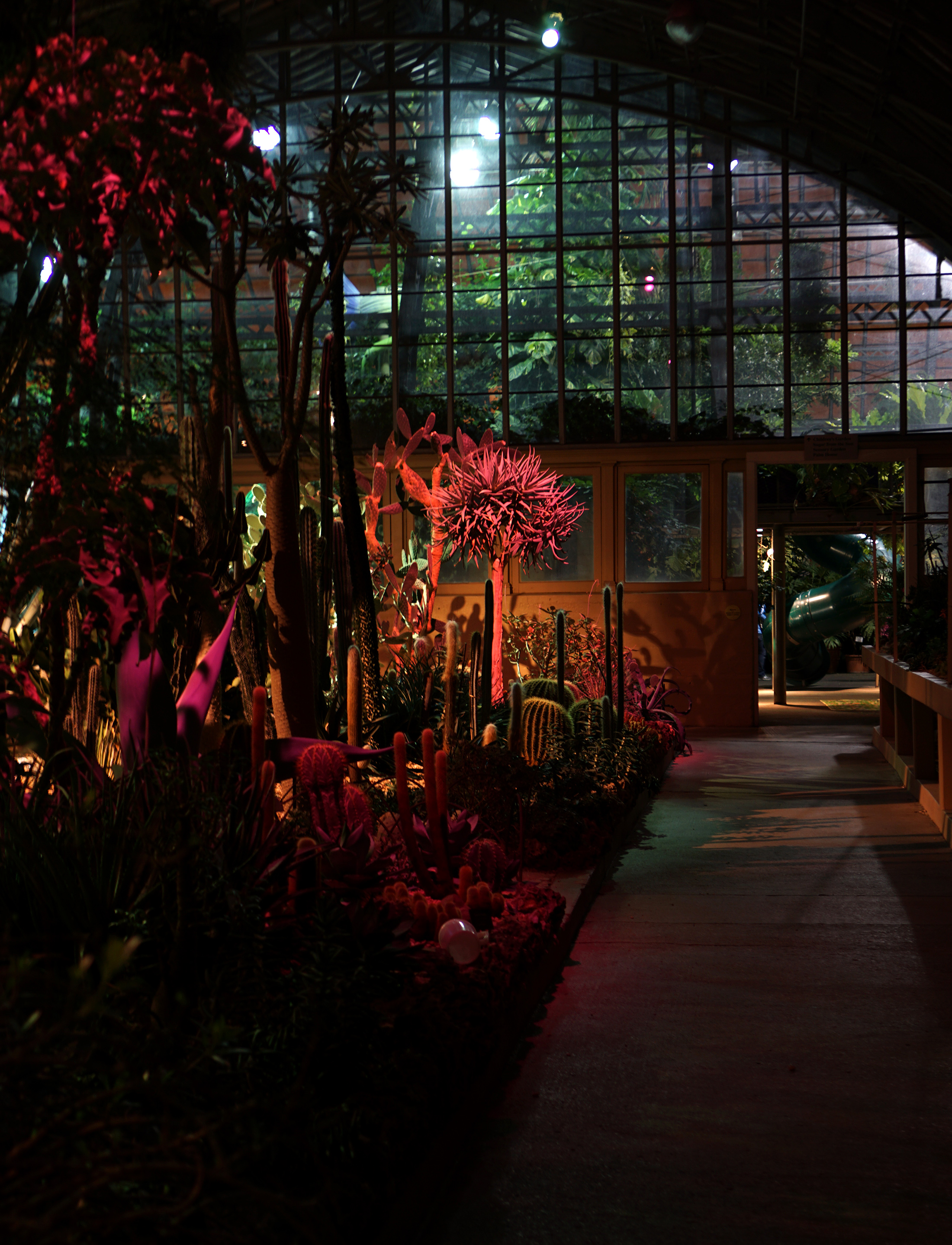 The desert room, Garfield Park Conservatory at night, Chicago / Darker than Green