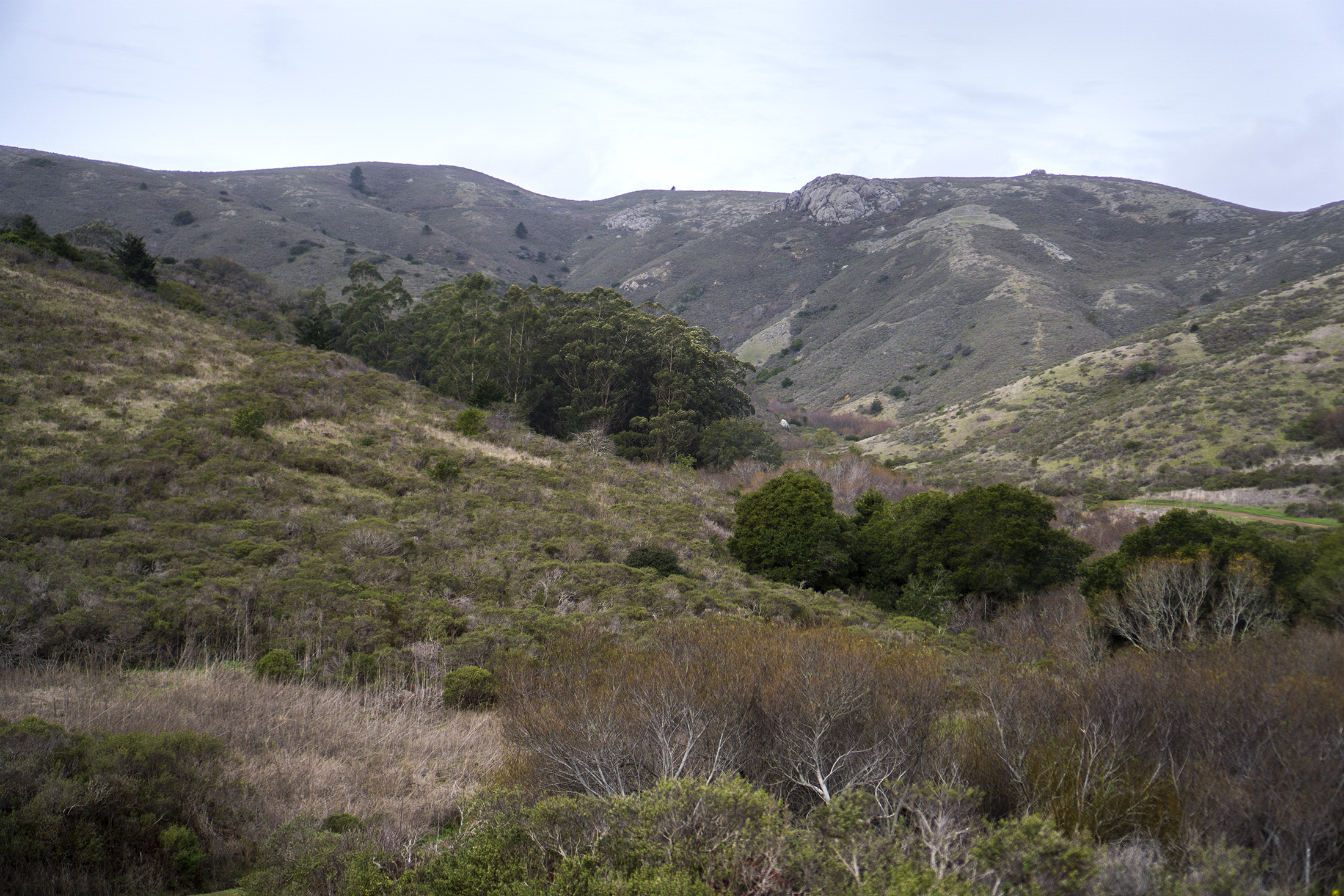 Marin Headlands, Golden Gate National Recreation Area / Darker than Green