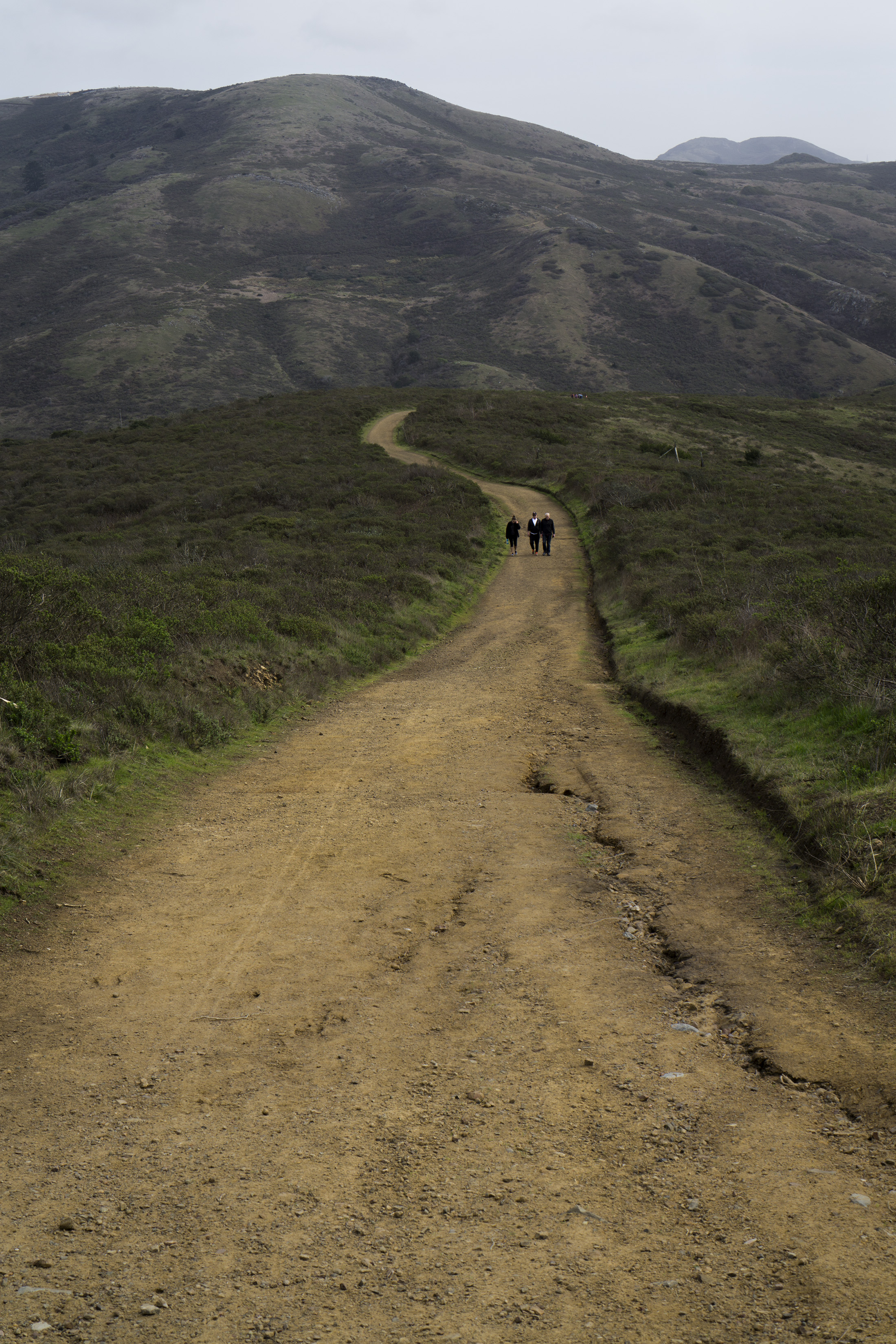 Tennessee Valley Trail, Marin Headlands, Golden Gate National Recreation Area / Darker than Green