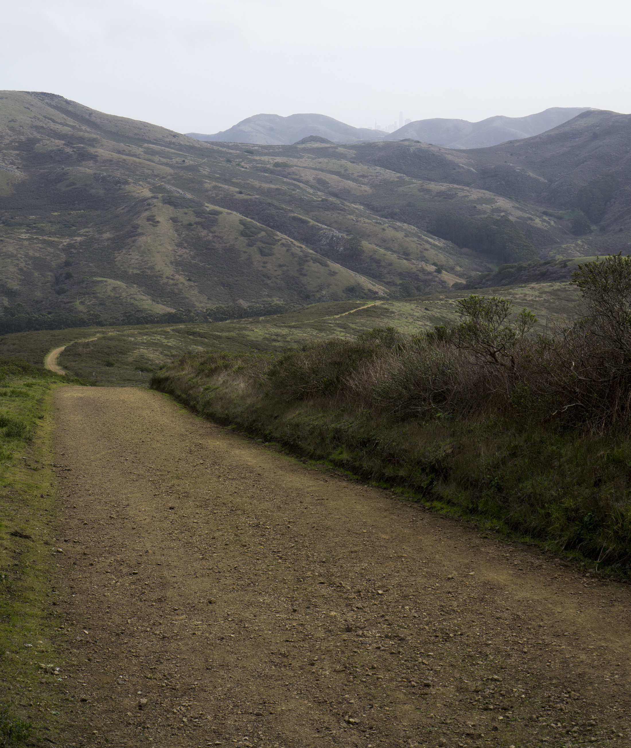 Tennessee Valley Trail, Marin Headlands, Golden Gate National Recreation Area / Darker than Green