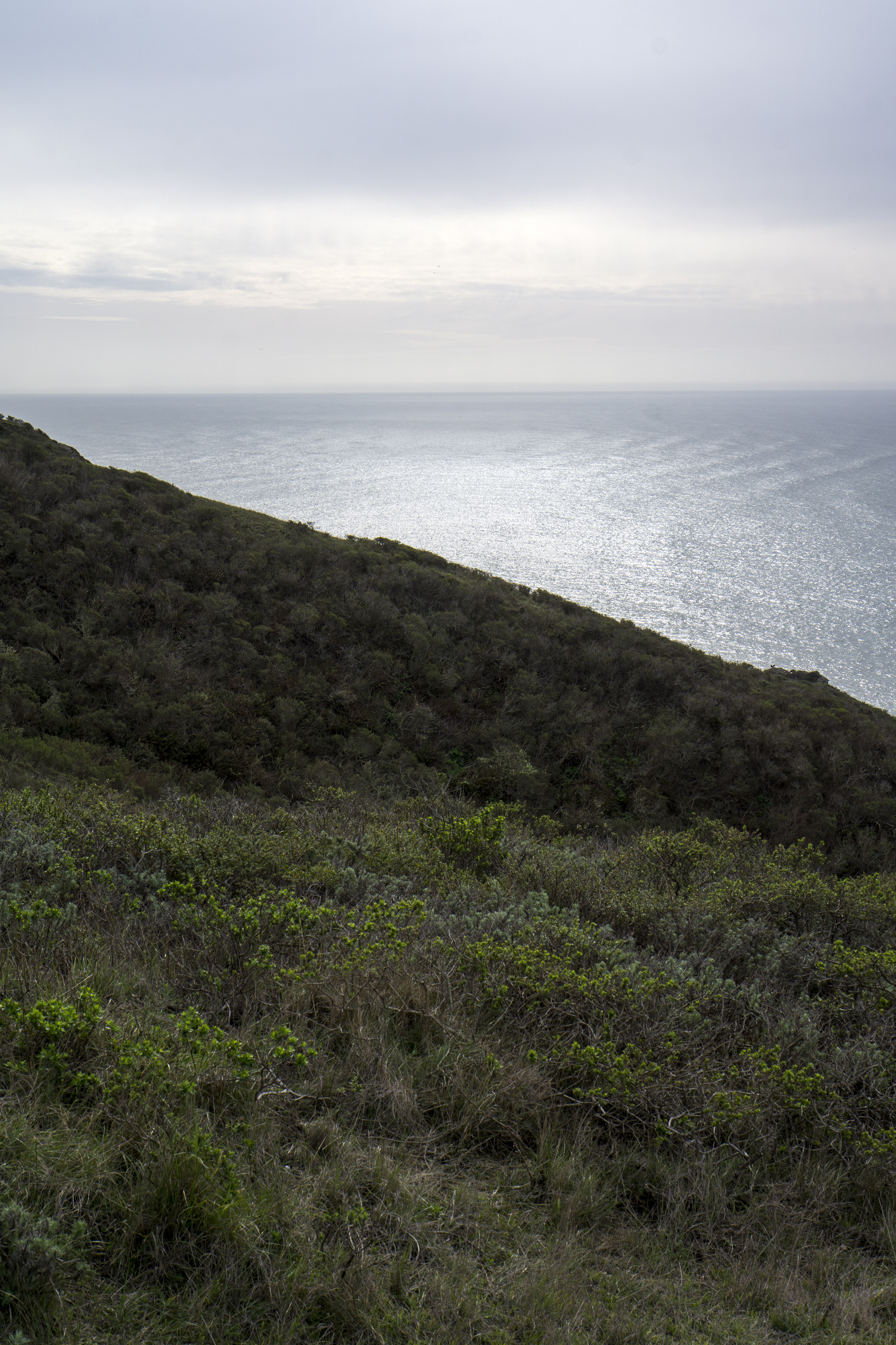 Pacific Ocean along Tennessee Valley Trail, Marin Headlands, Golden Gate National Recreation Area / Darker than Green