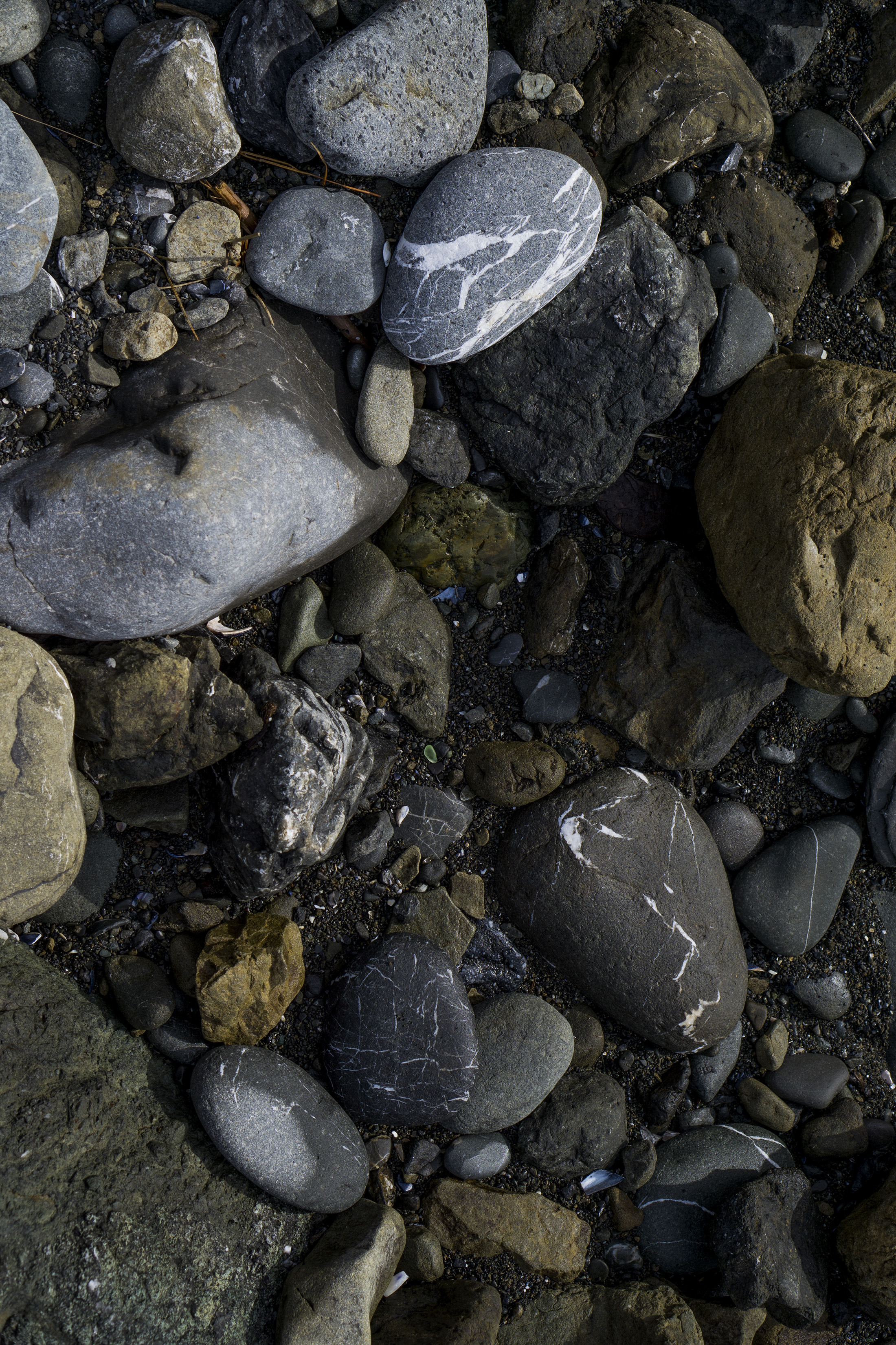 Rocks at Pirates Cove, Marin Headlands, Golden Gate National Recreation Area / Darker than Green