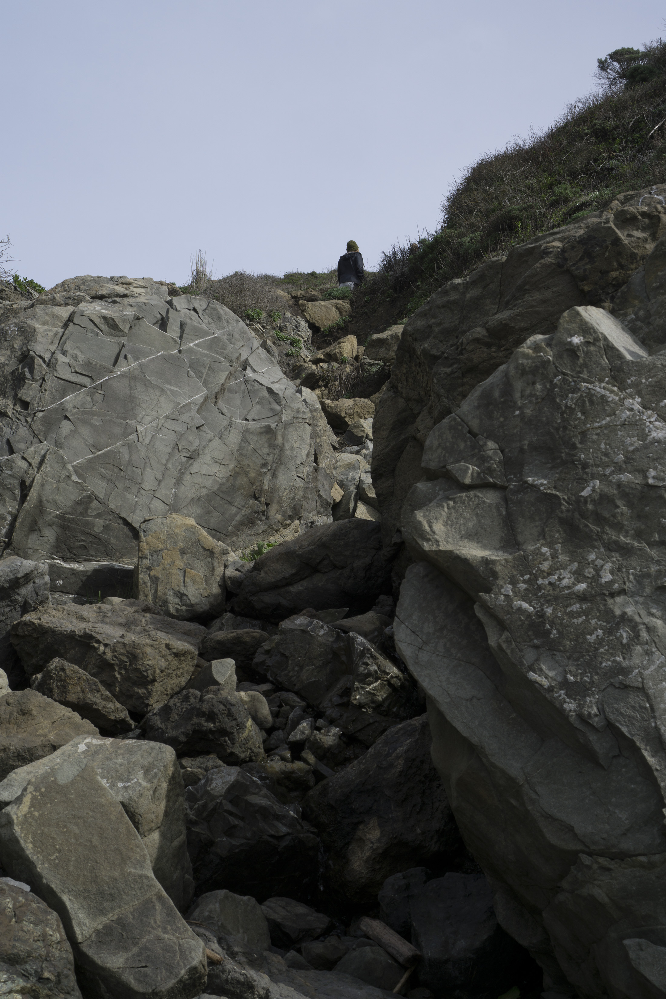 Scramble back up from Pirates Cove, Marin Headlands, Golden Gate National Recreation Area / Darker than Green