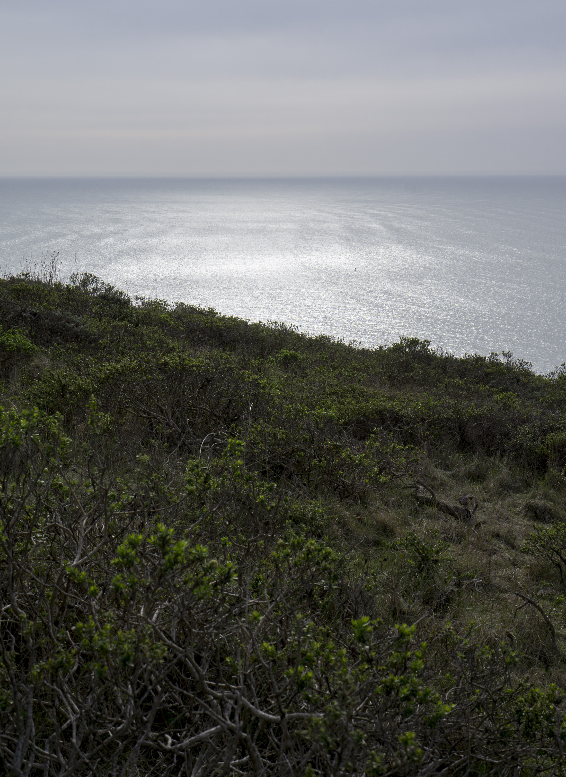 Pacific Ocean from the Tennessee Valley Trail, Marin Headlands, Golden Gate National Recreation Area / Darker than Green