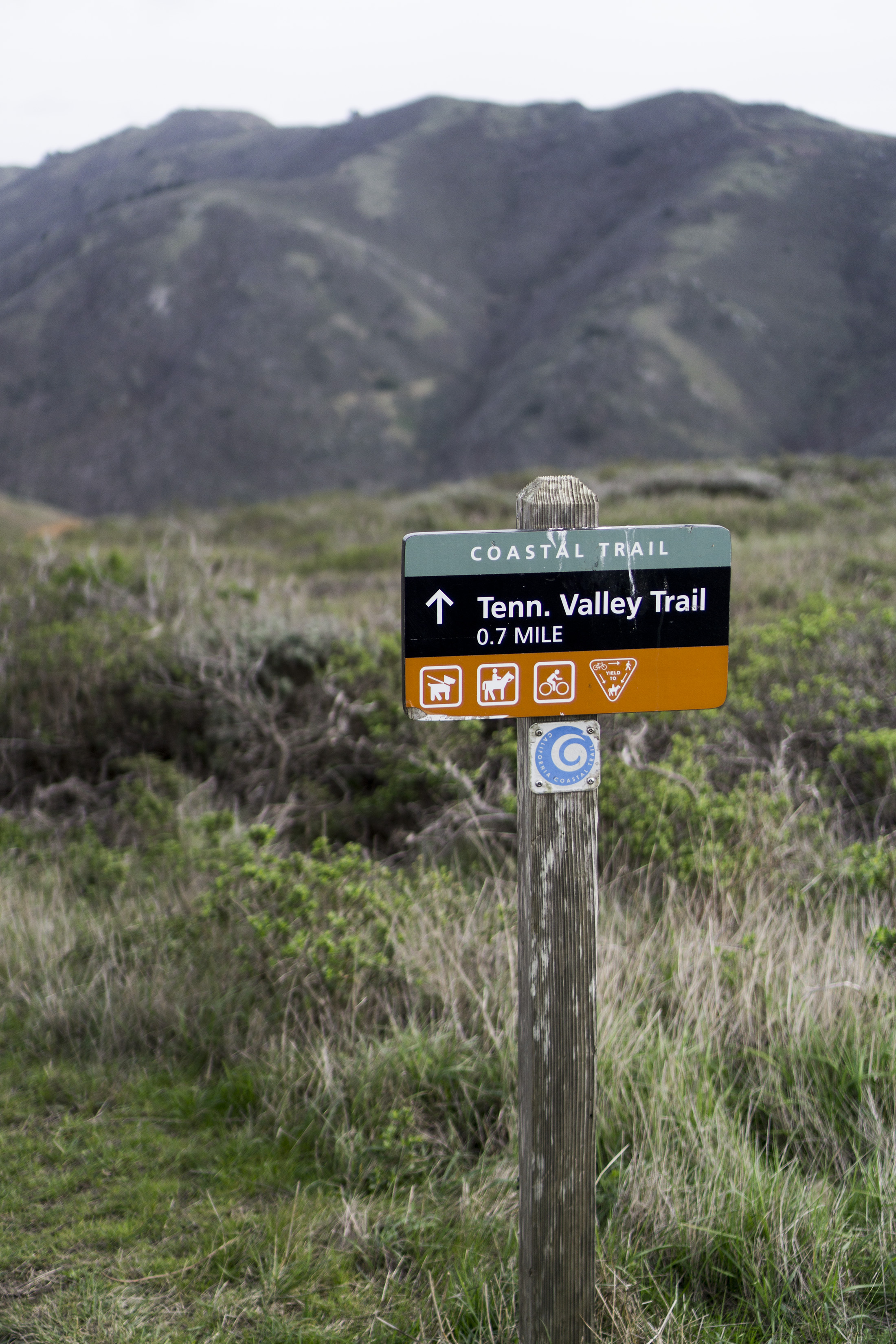 Tennessee Valley Trail marker, Marin Headlands, Golden Gate National Recreation Area / Darker than Green
