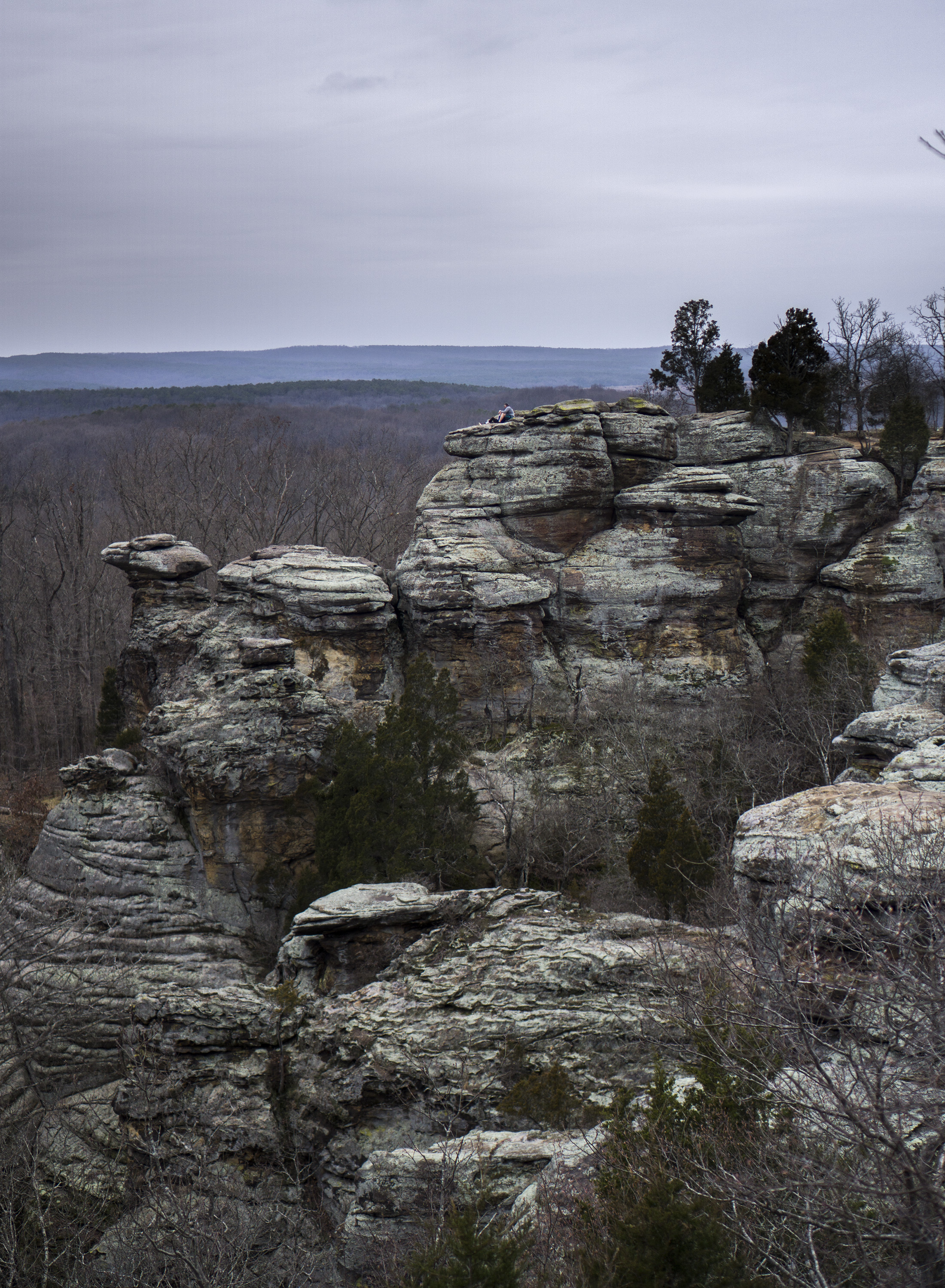 Garden of the Gods, Shawnee National Forest, IL / Darker than Green