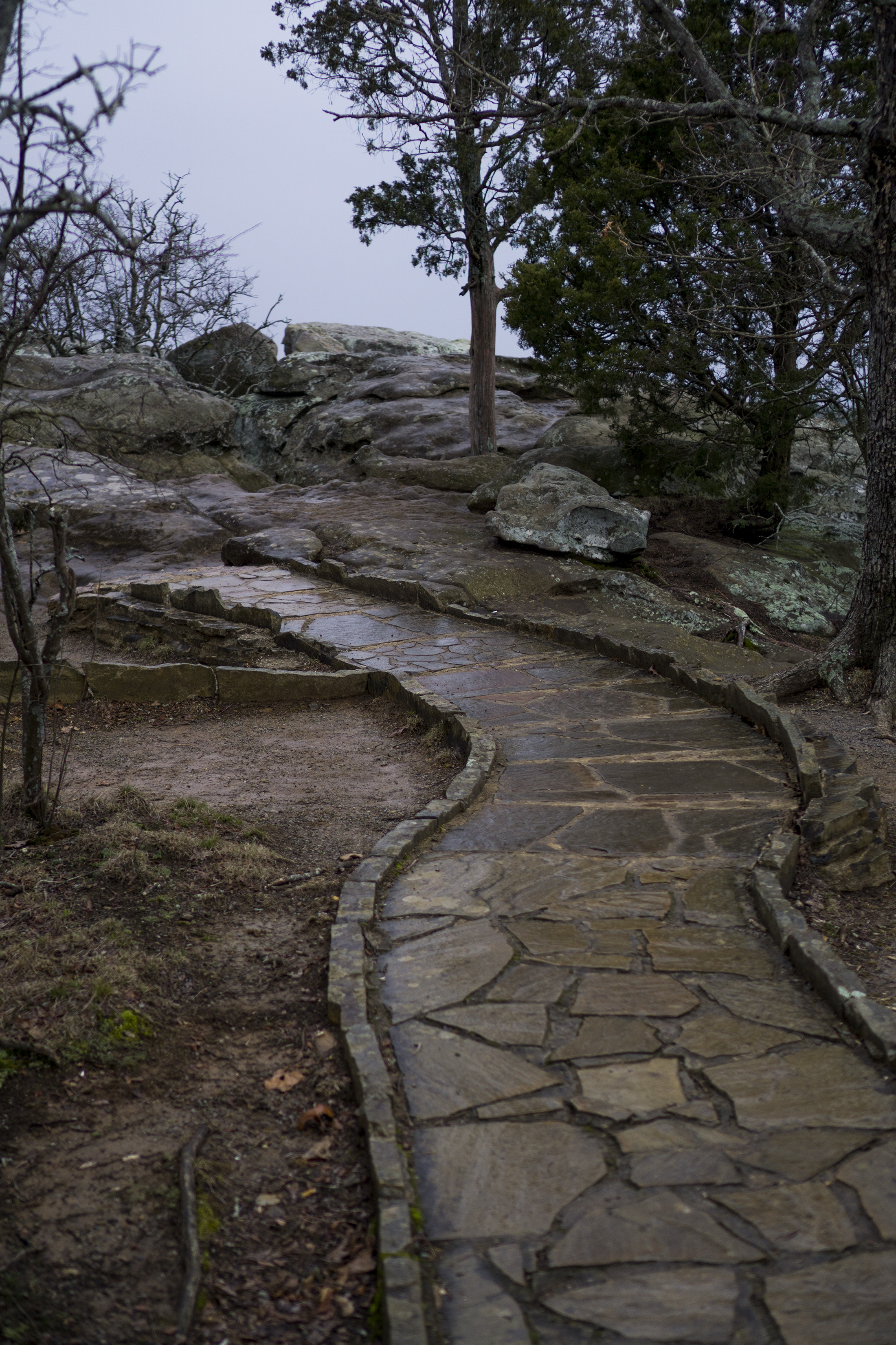 Rainy path along Observation Trail, Garden of the Gods, Shawnee National Forest, IL / Darker than Green