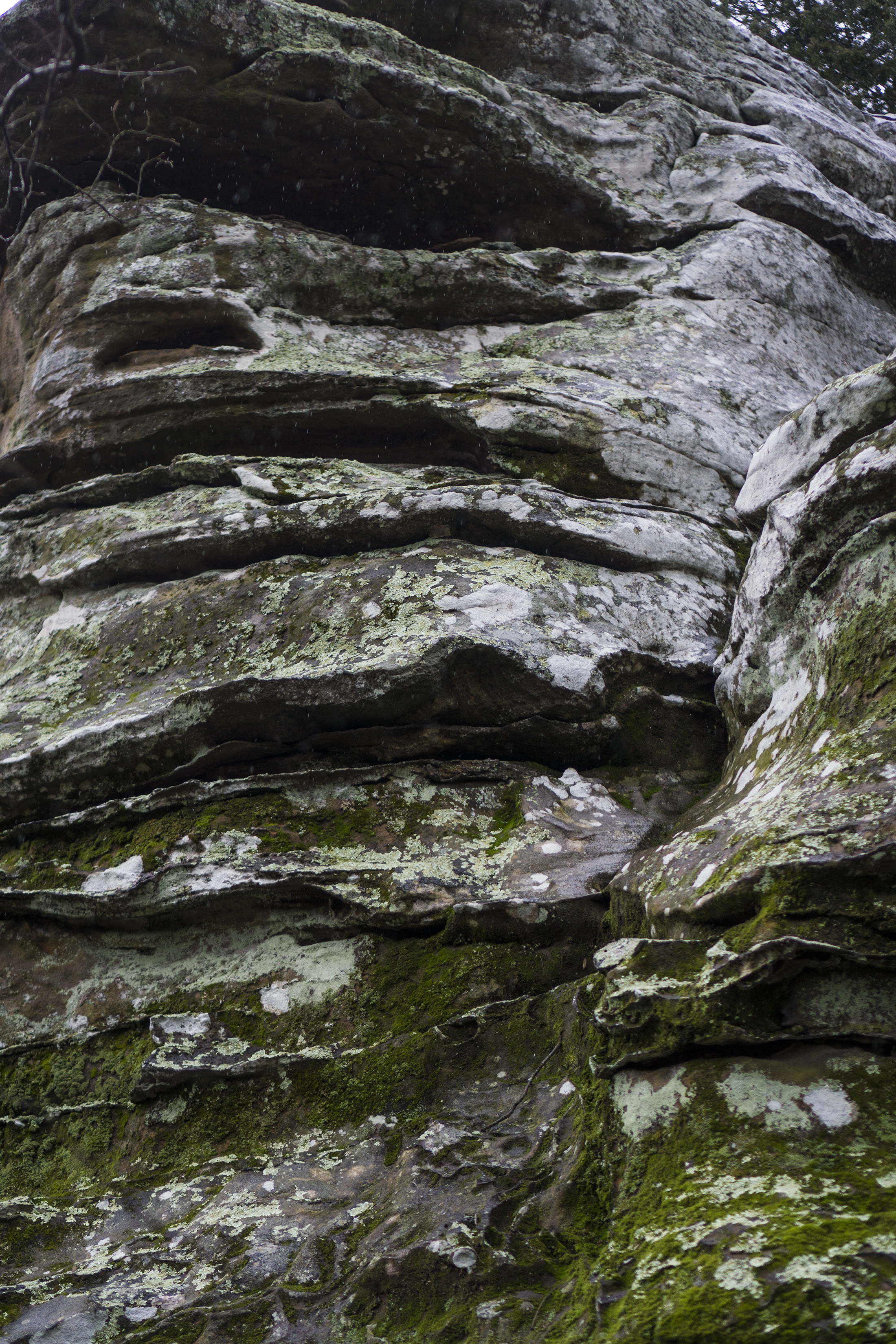 Garden of the Gods, Shawnee National Forest, IL / Darker than Green