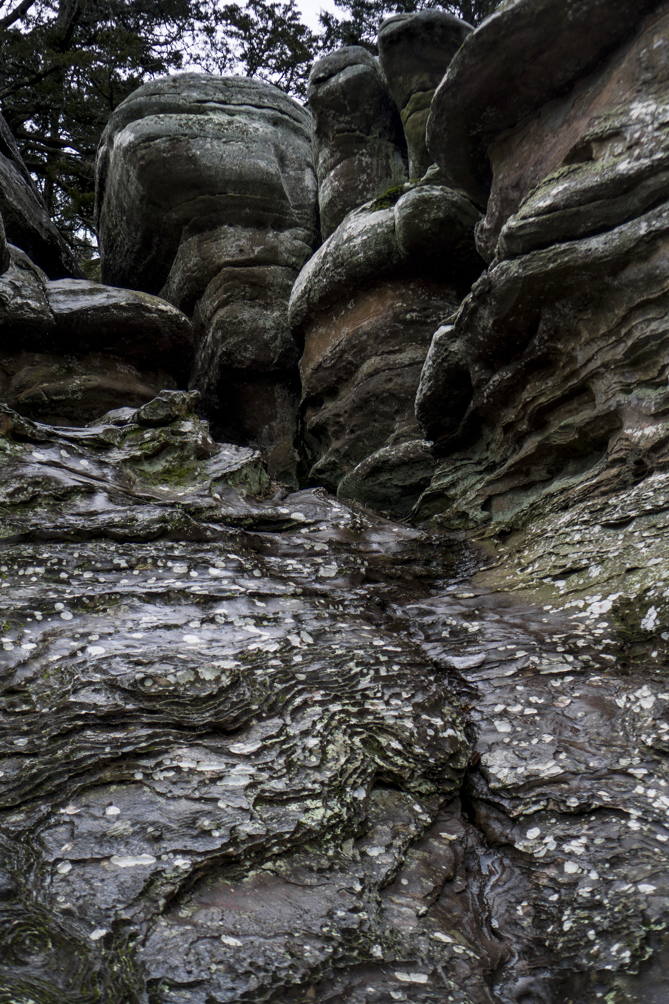 Liesegang bands on rock formation, Garden of the Gods, Shawnee National Forest, IL / Darker than Green