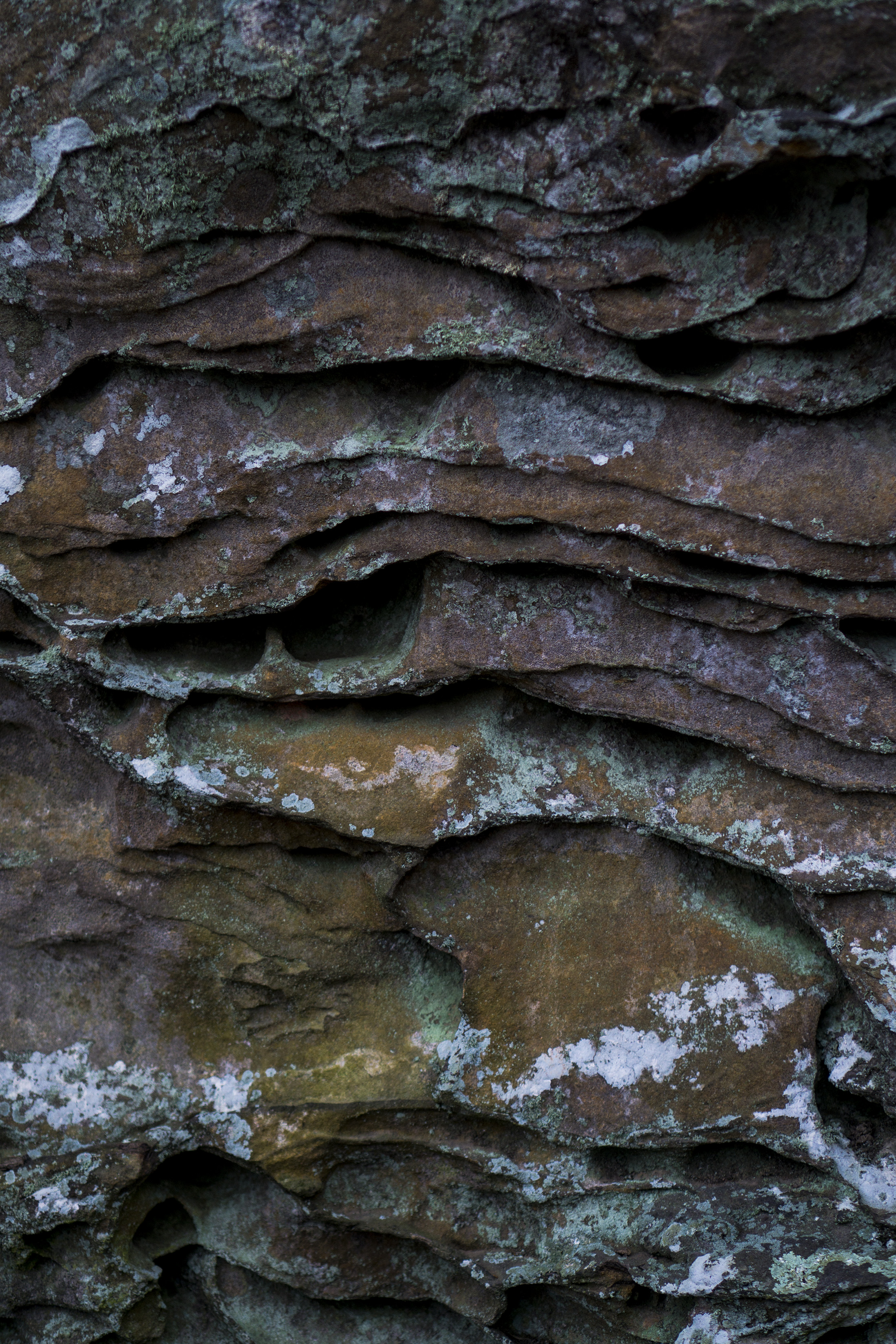 Rock formation, Garden of the Gods, Shawnee National Forest, IL / Darker than Green