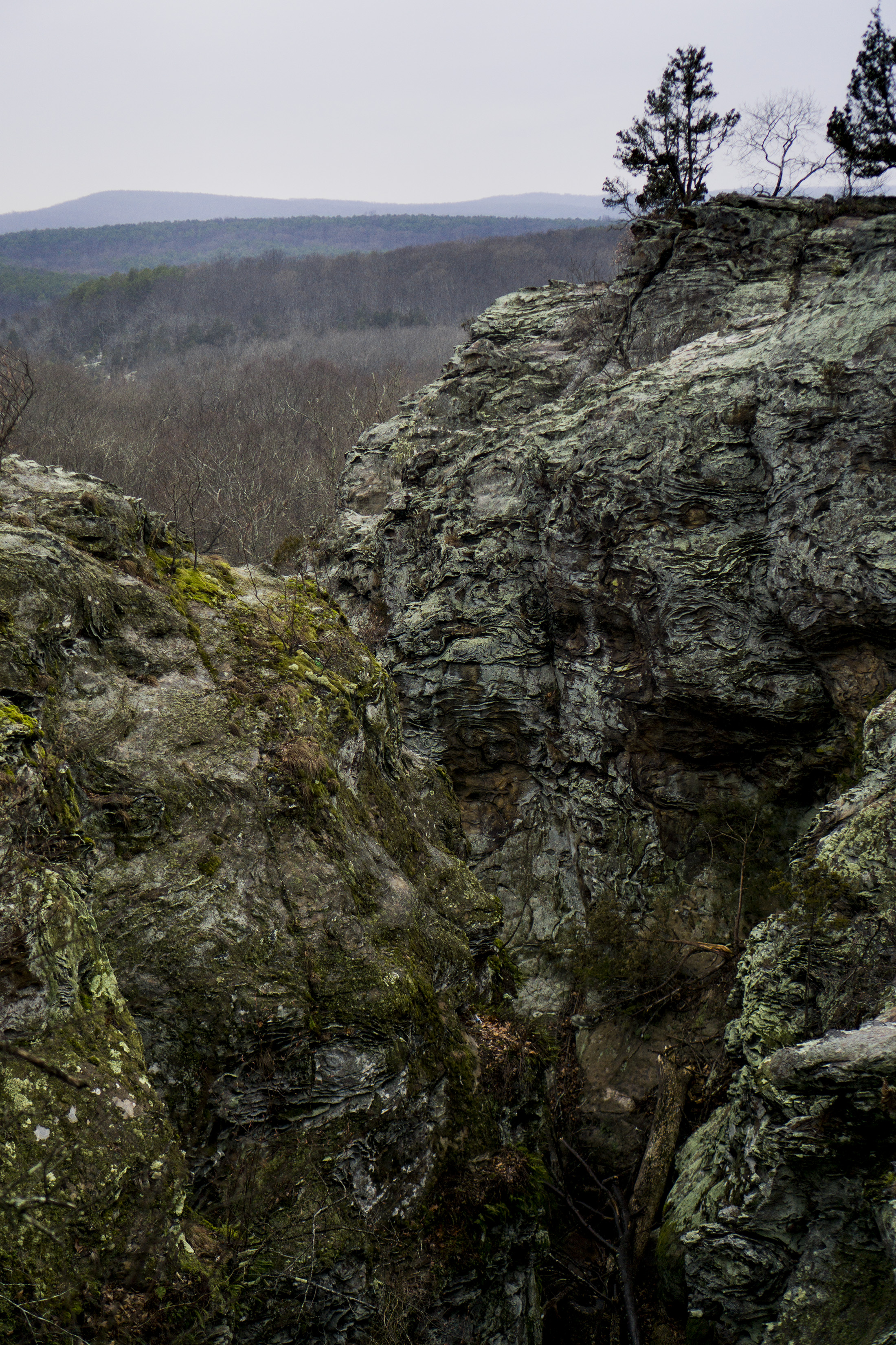 Garden of the Gods, Shawnee National Forest, IL / Darker than Green