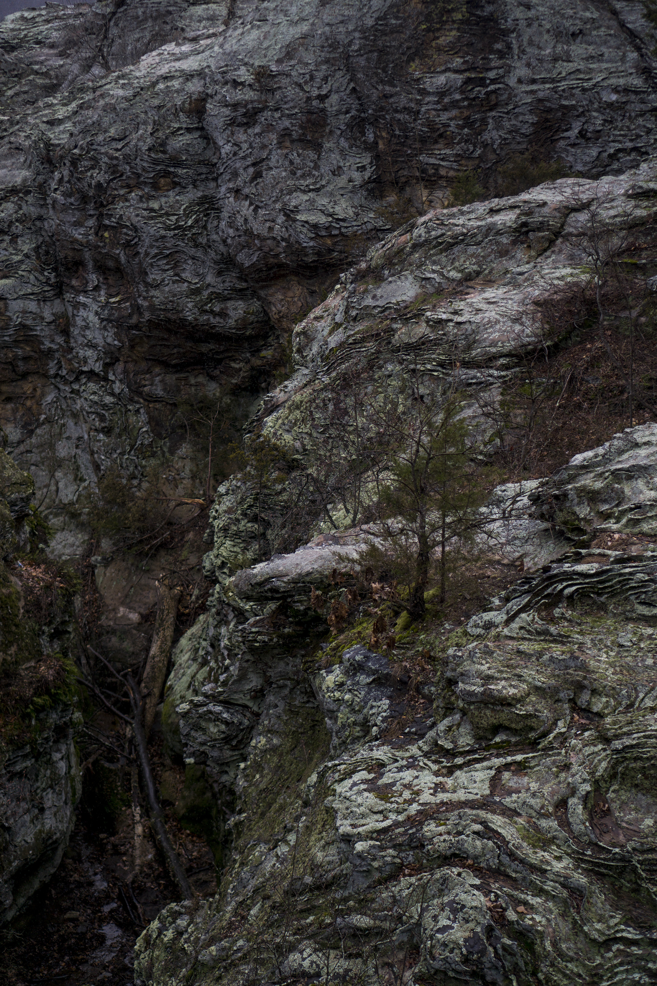 Garden of the Gods, Shawnee National Forest, IL / Darker than Green