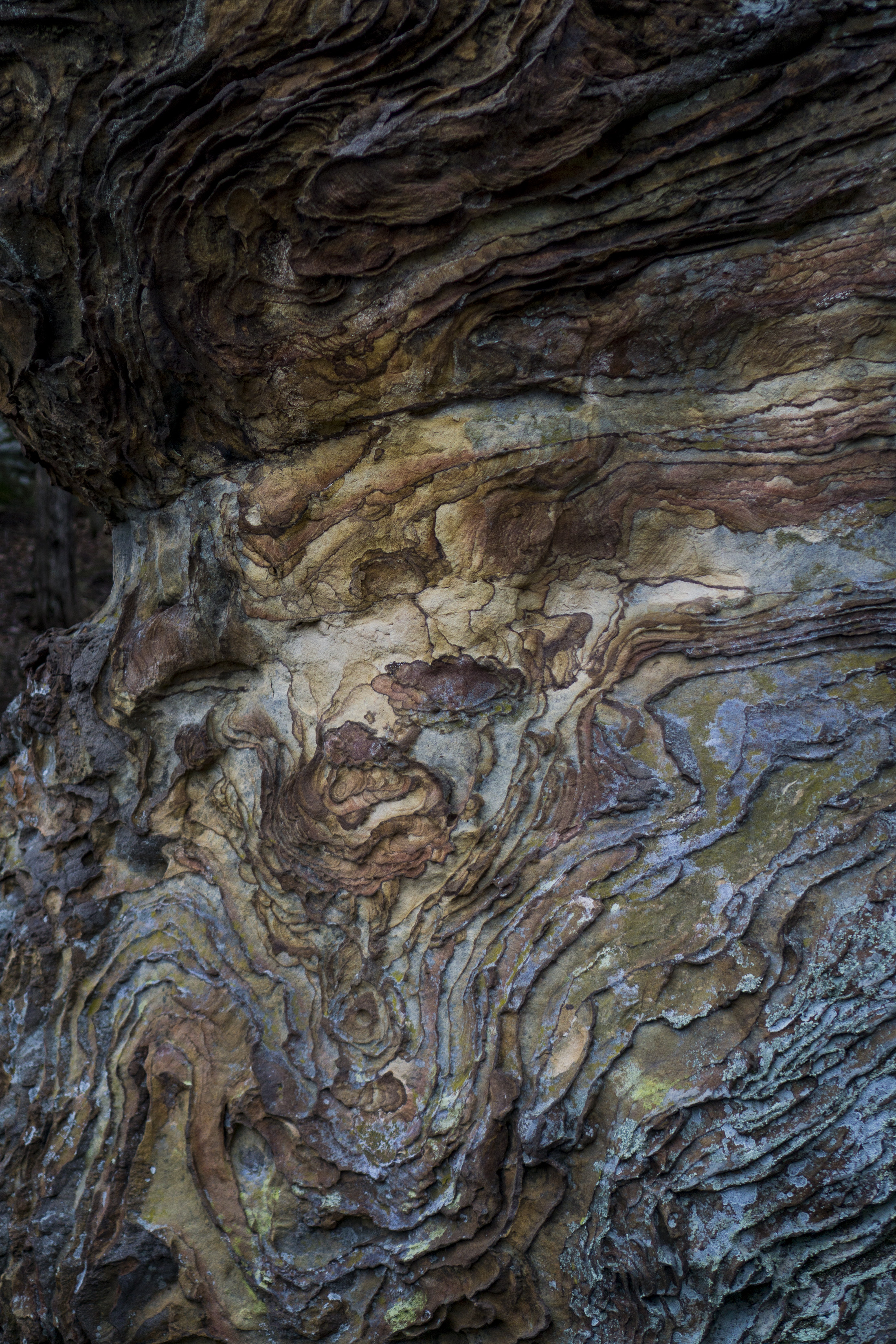 Liesegang bands on rock formation, Garden of the Gods, Shawnee National Forest, IL / Darker than Green