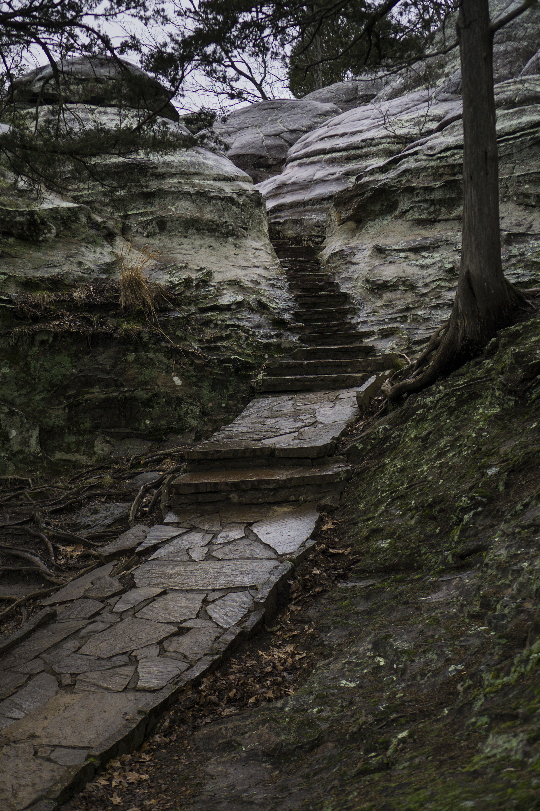 Rainy path along Observation Trail, Garden of the Gods, Shawnee National Forest, IL / Darker than Green