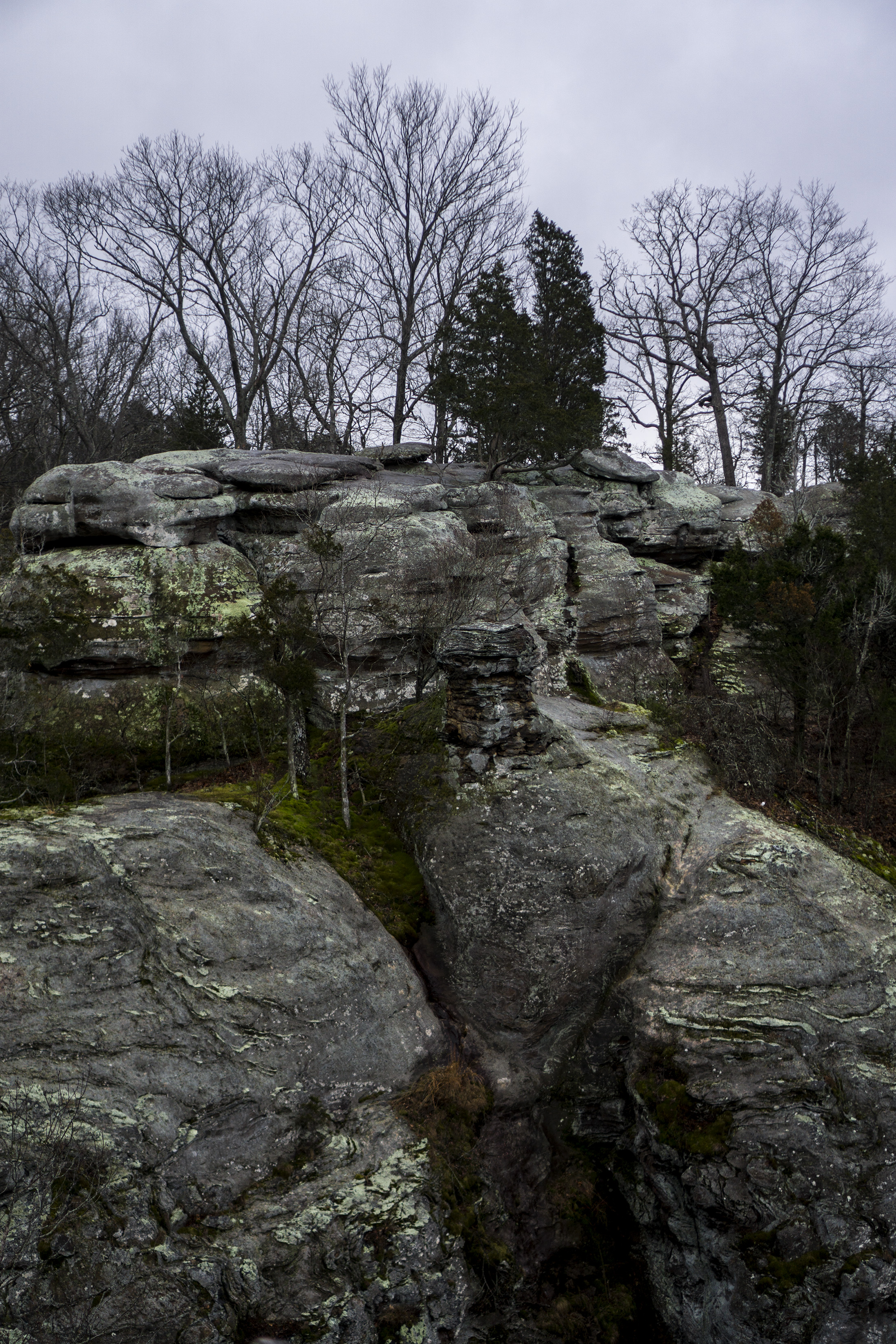 Garden of the Gods, Shawnee National Forest, IL / Darker than Green