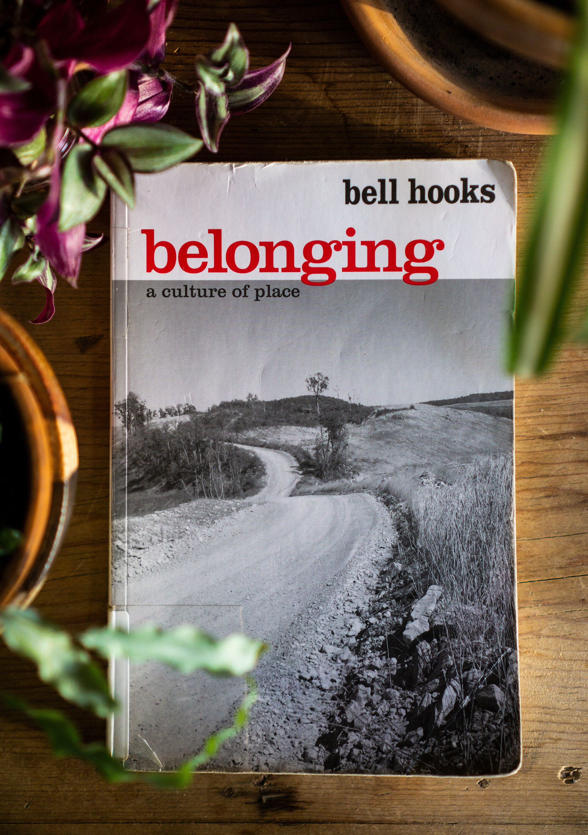 Belonging: A Culture of Place by bell hooks / Darker than Green