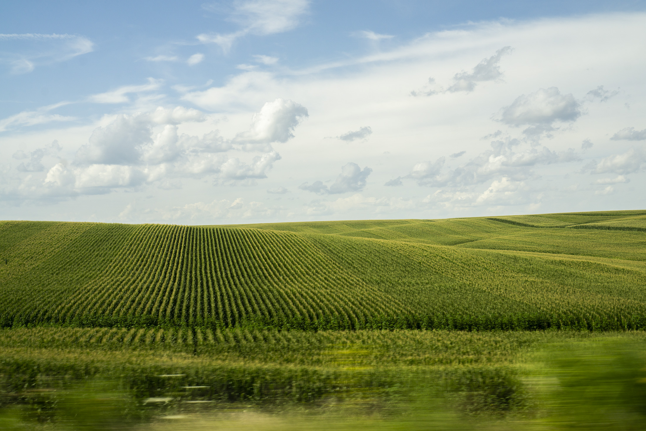 Corn farmland somewhere in Iowa / Darker than Green