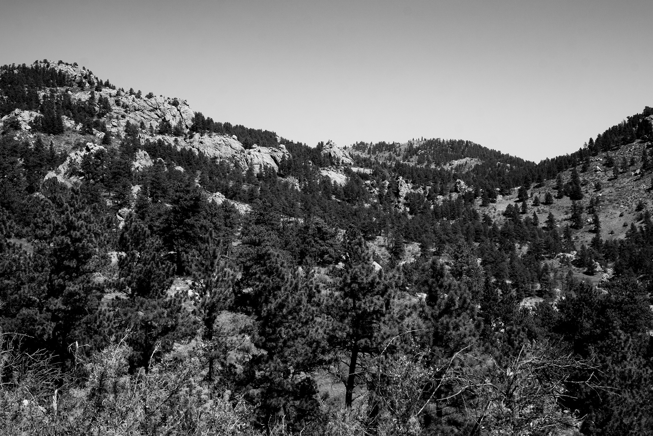 View toward mountains along Horsetooth Rock Trail, Colorado / Darker than Green