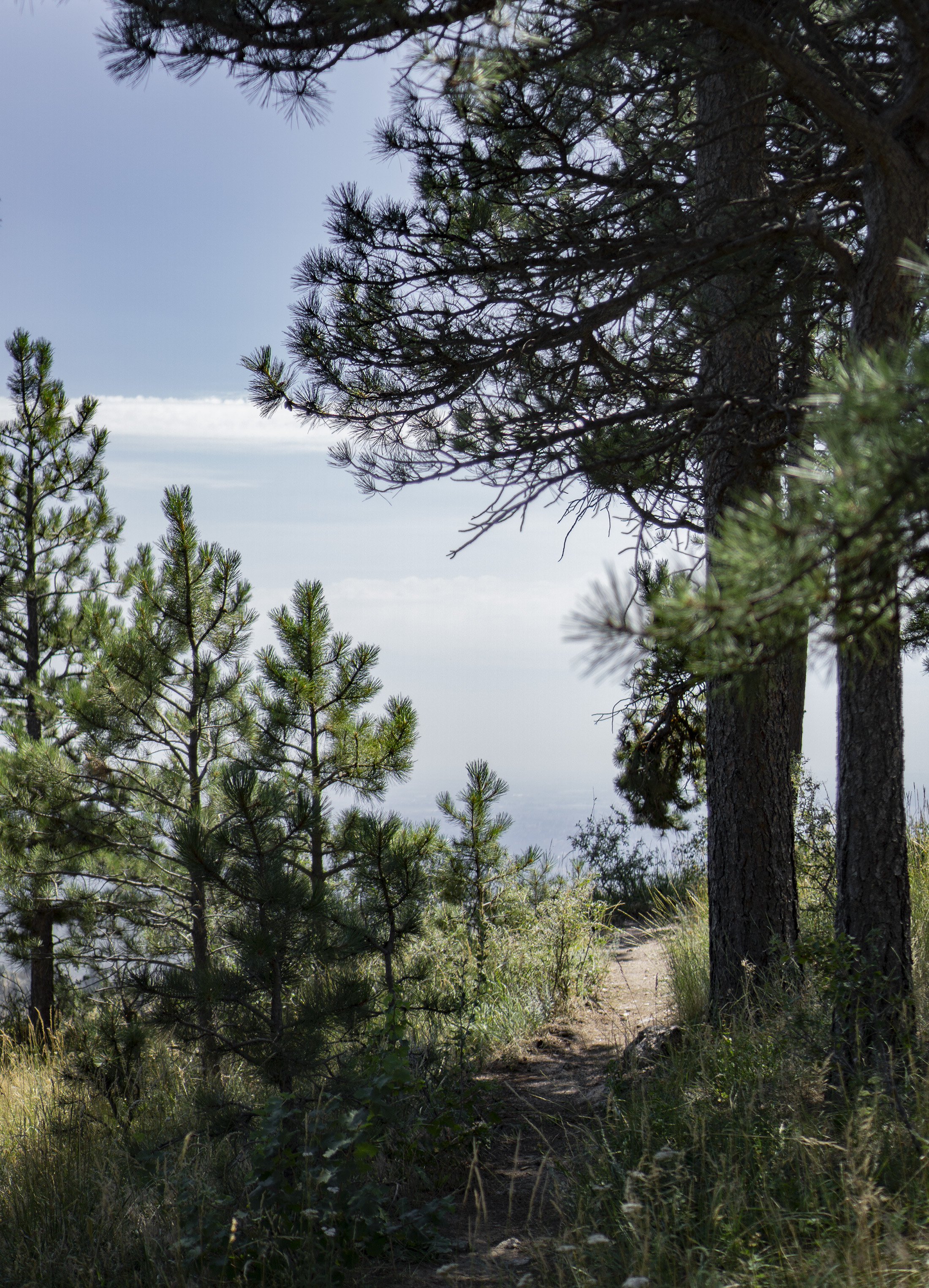 Along the Horsetooth Rock Trail, Colorado / Darker than Green