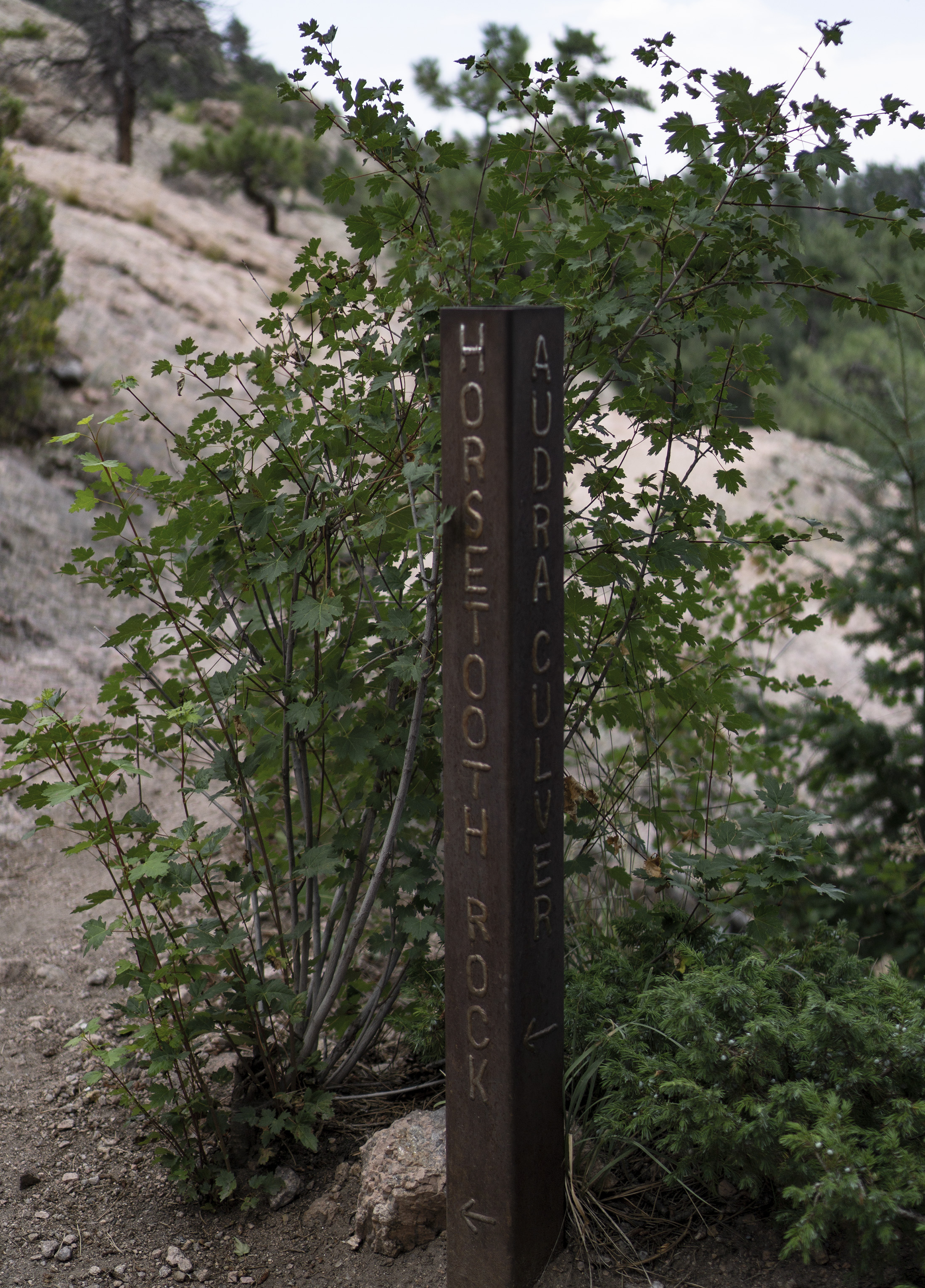 Horsetooth Rock trail marker, Colorado / Darker than Green