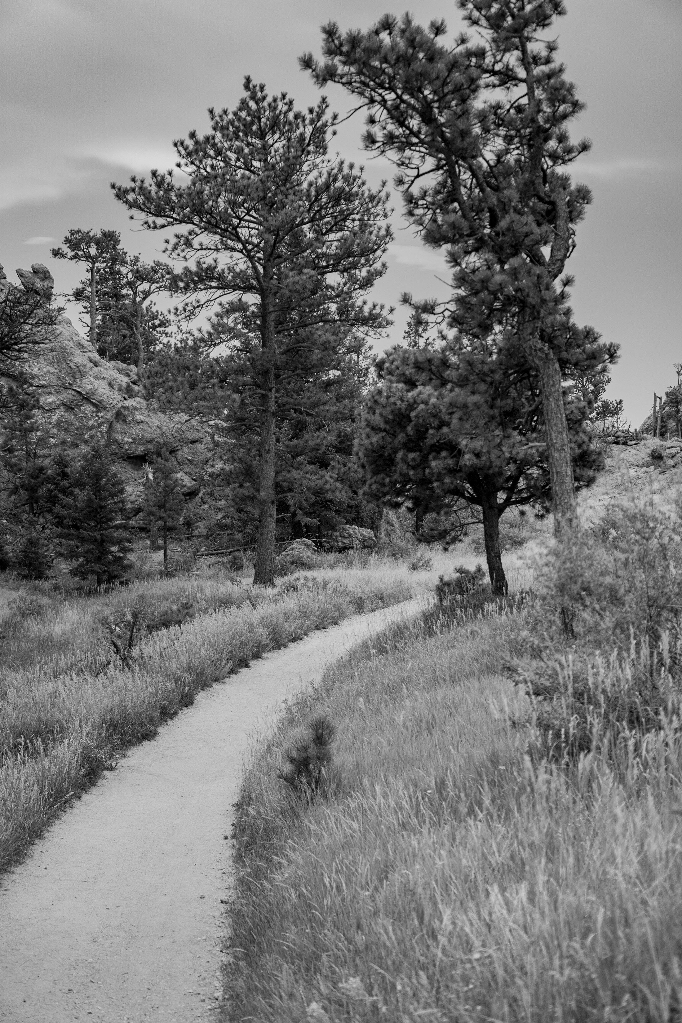 Horsetooth Rock trail, Colorado / Darker than Green