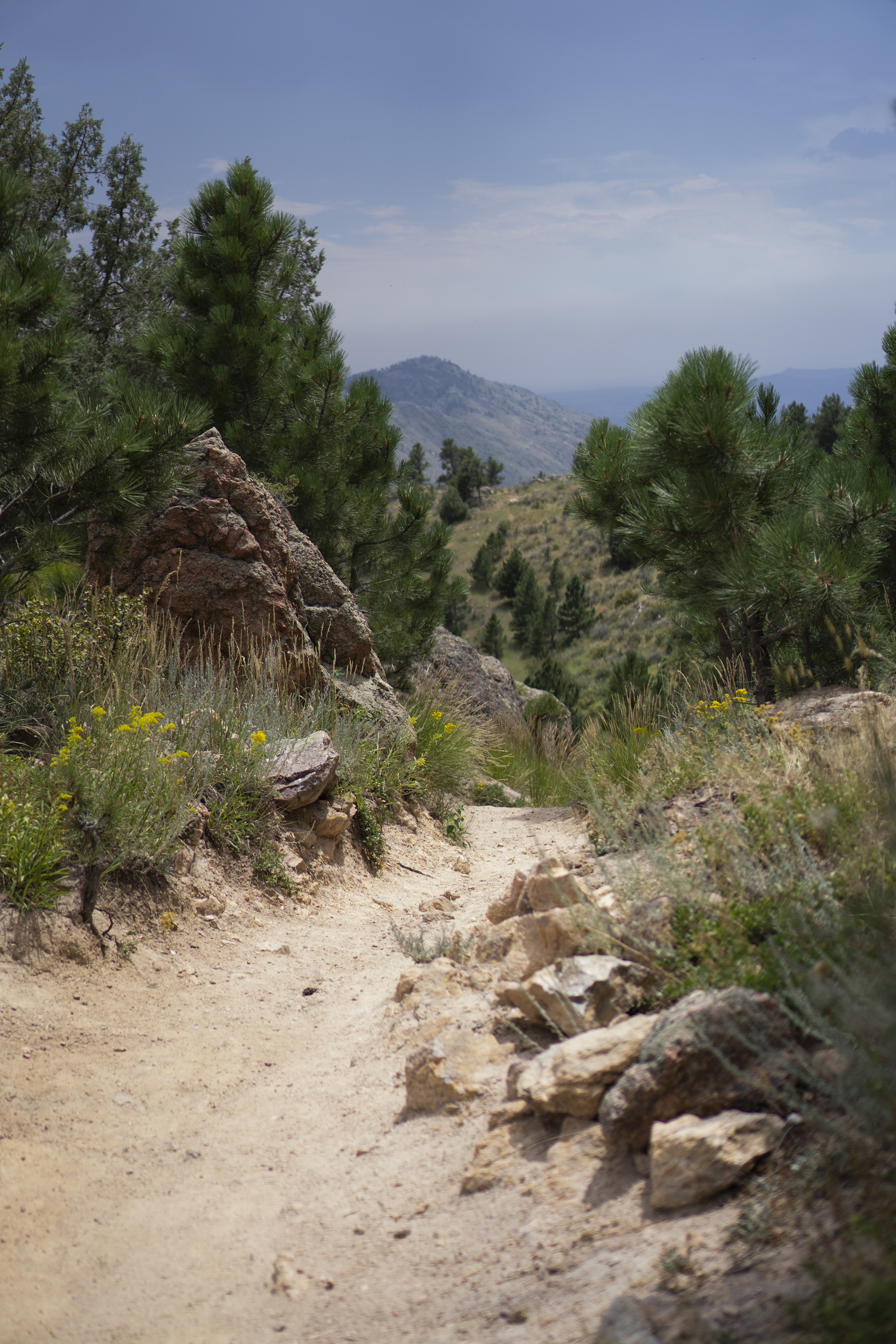 View along Horsetooth Rock trail, Colorado / Darker than Green