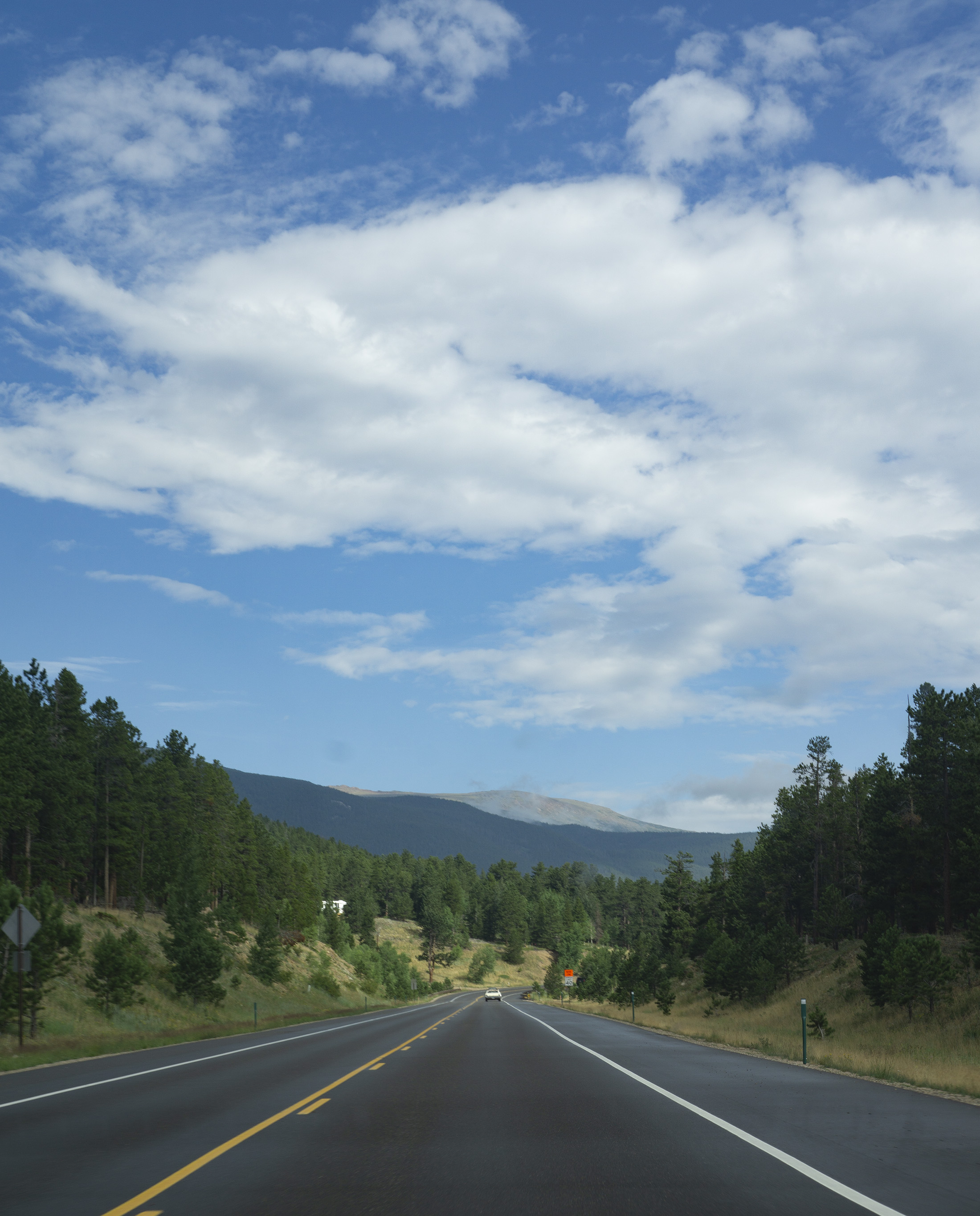 Driving through Roosevelt National Forest toward Meeker Park / Darker than Green