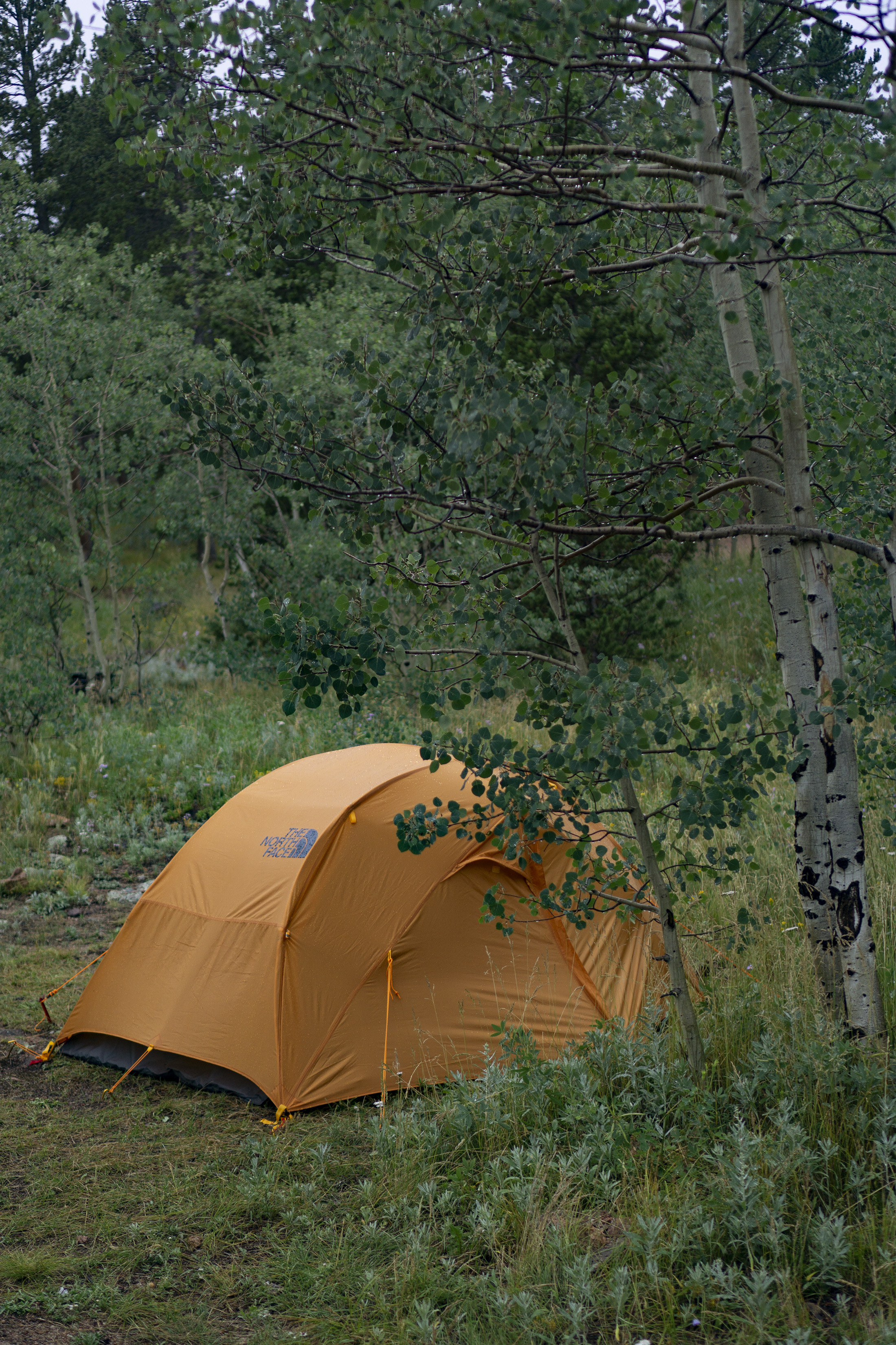 Orange North Face tent in Meeker Park Overflow Campground, Colorado / Darker than Green