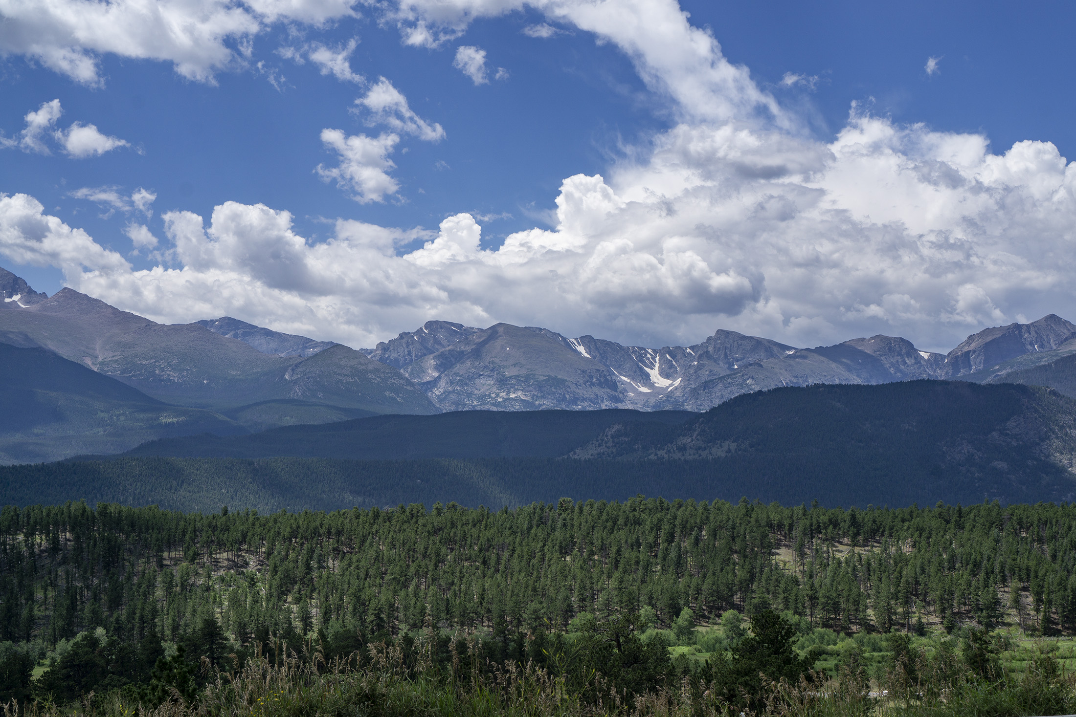 Mountain range and big open sky behind large group of evergreens, Rocky Mountain National Park / Darker than Green