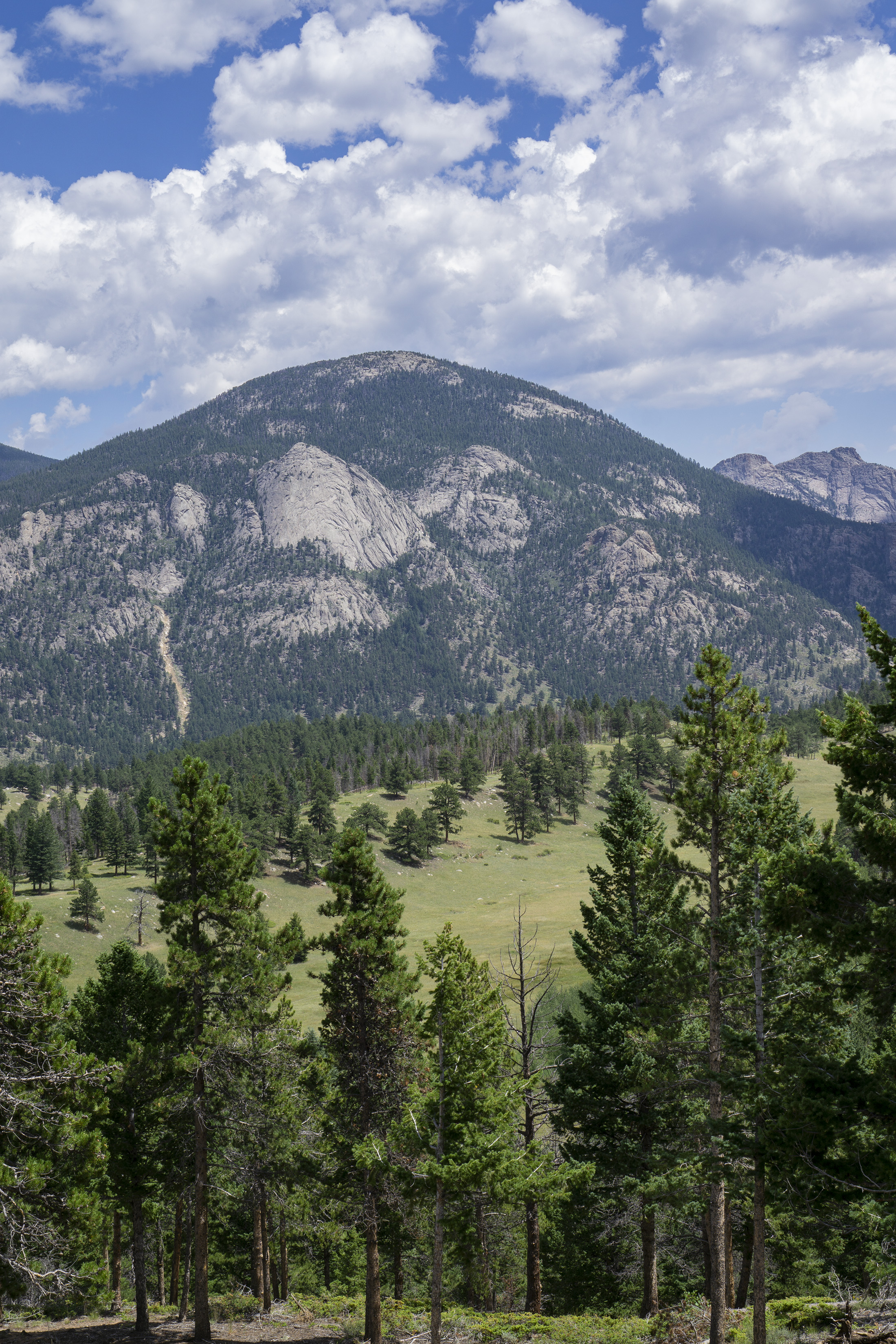 Domed mountain top in Rocky Mountain National Park / Darker than Green