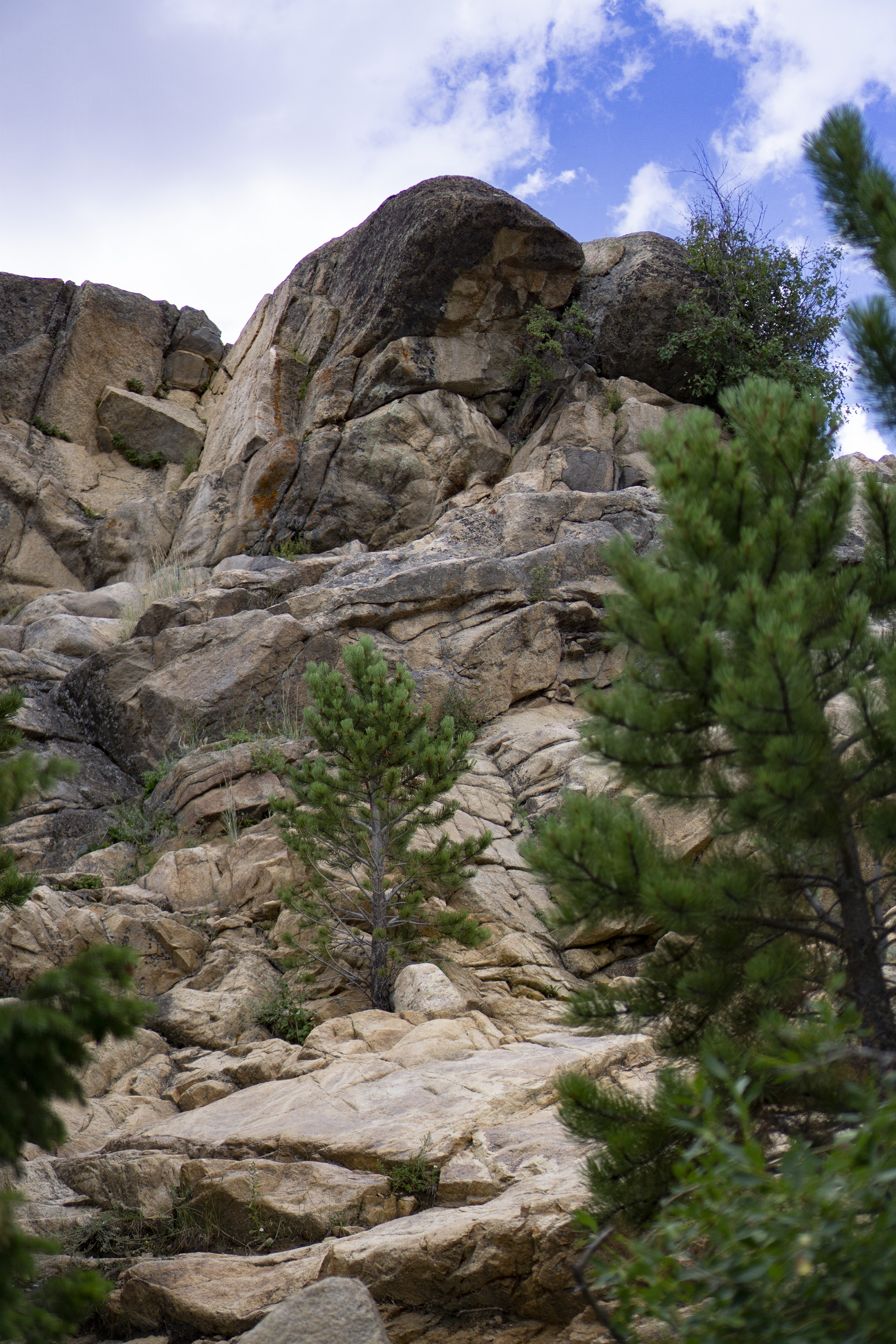 Rocks near Alluvial Fan, Rocky Mountain National Park / Darker than Green