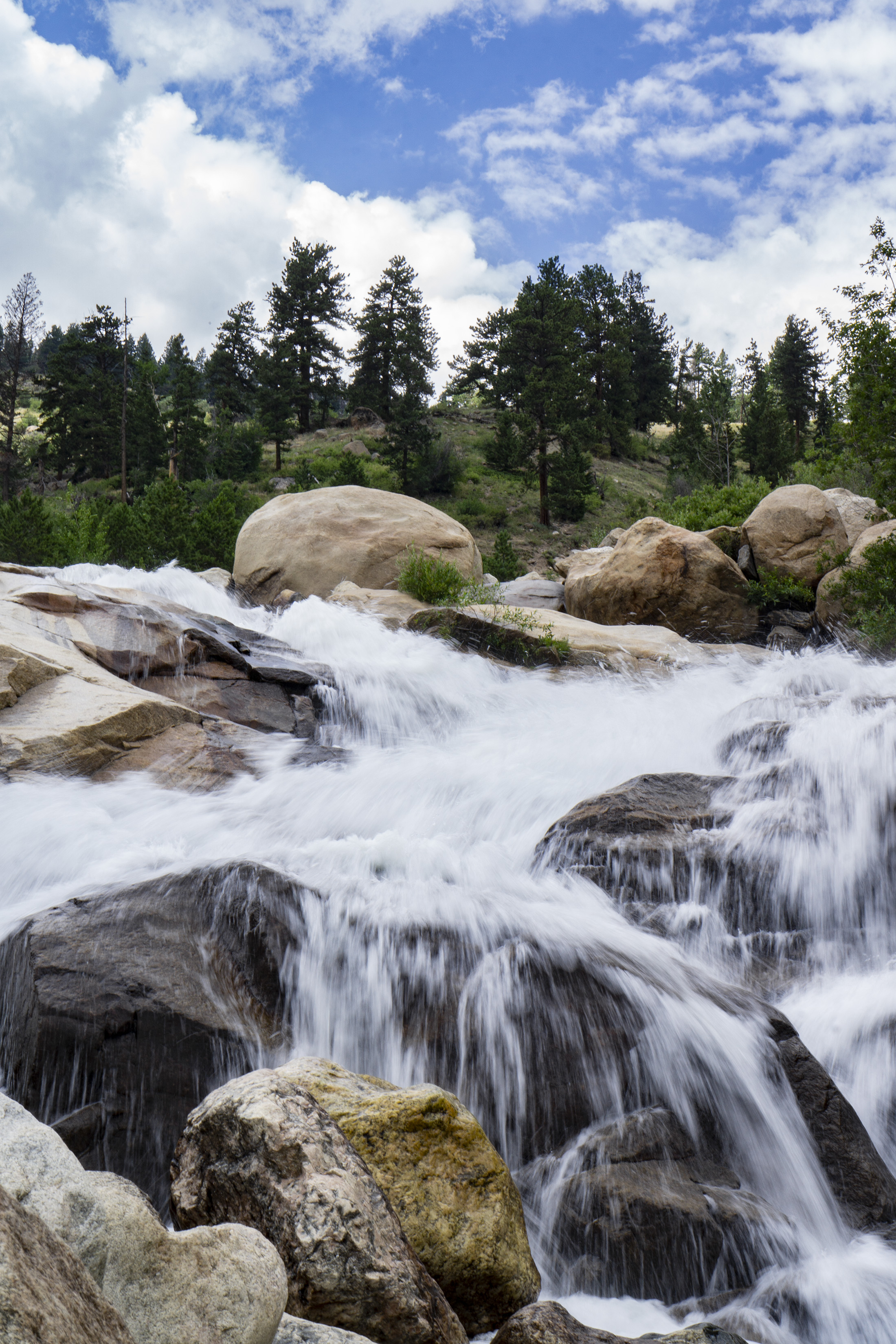 Waterfall at Alluvial Fan, Rocky Mountain National Park / Darker than Green