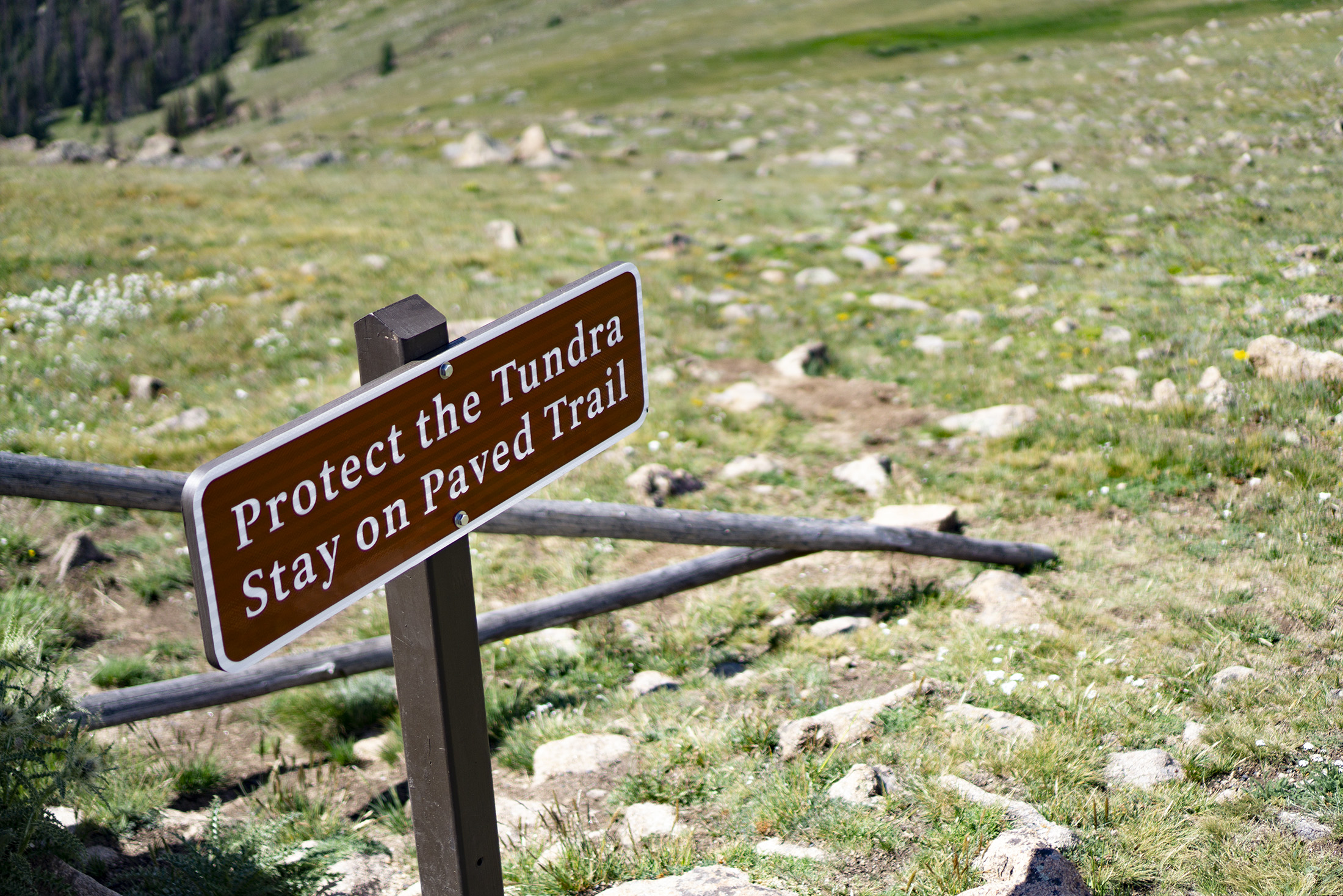 Sign warning to stay off the tundra, Rocky Mountain National Park / Darker than Green