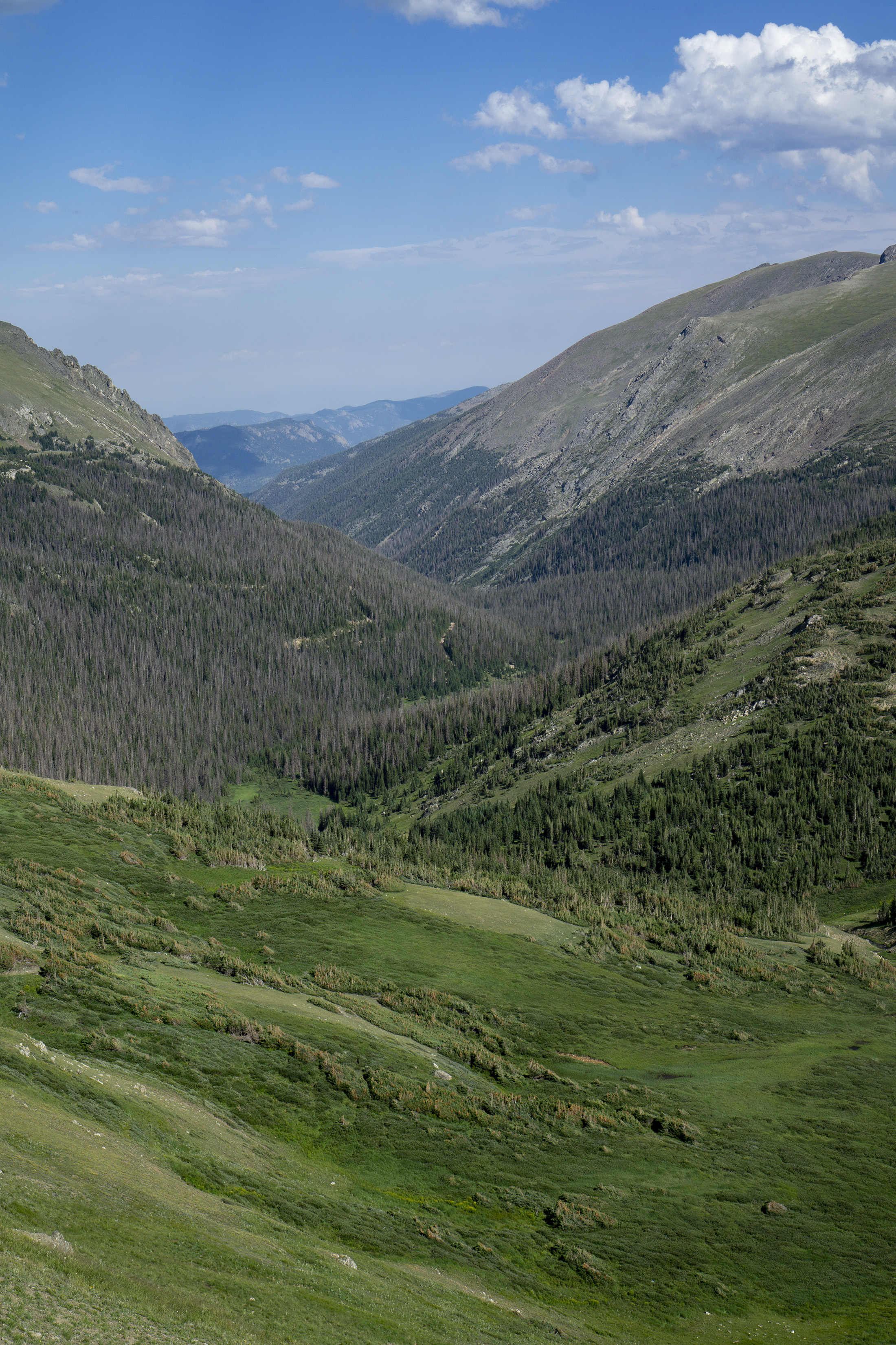 Bright green valley, Rocky Mountain National Park / Darker than Green